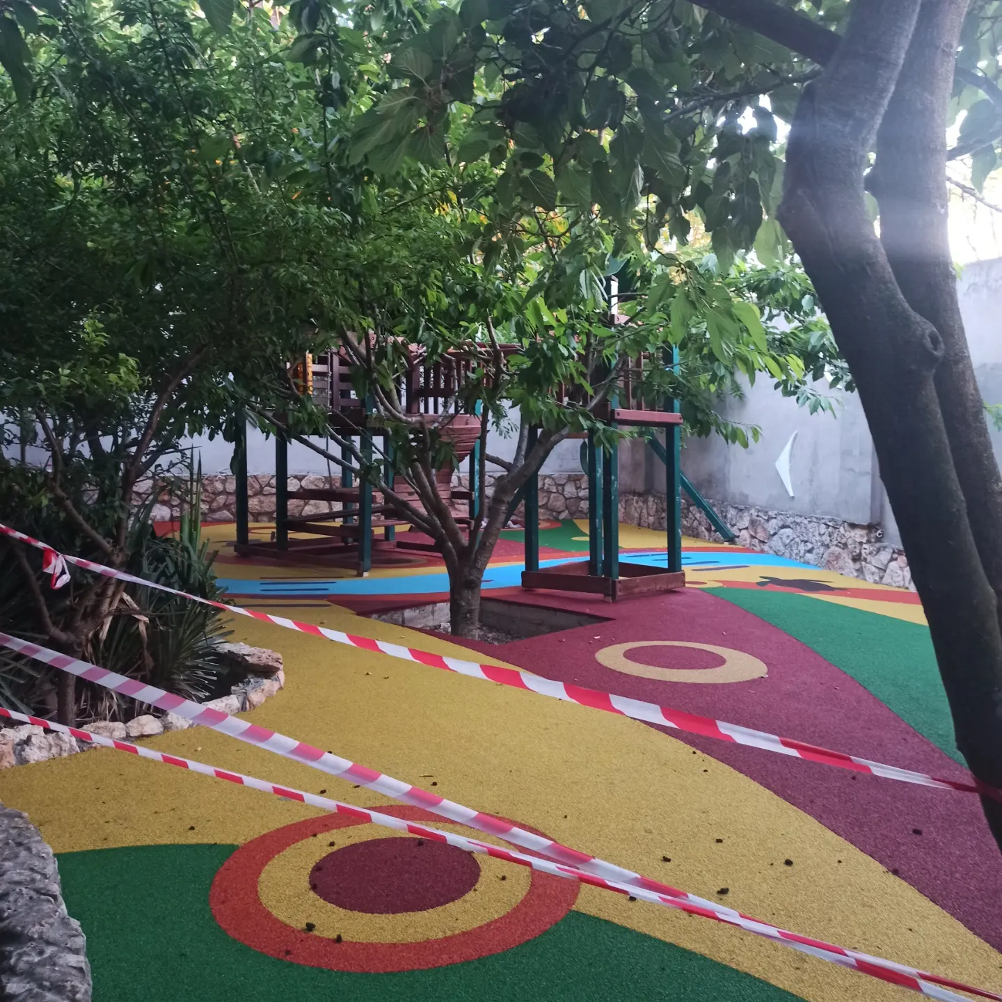 Фото Марлин