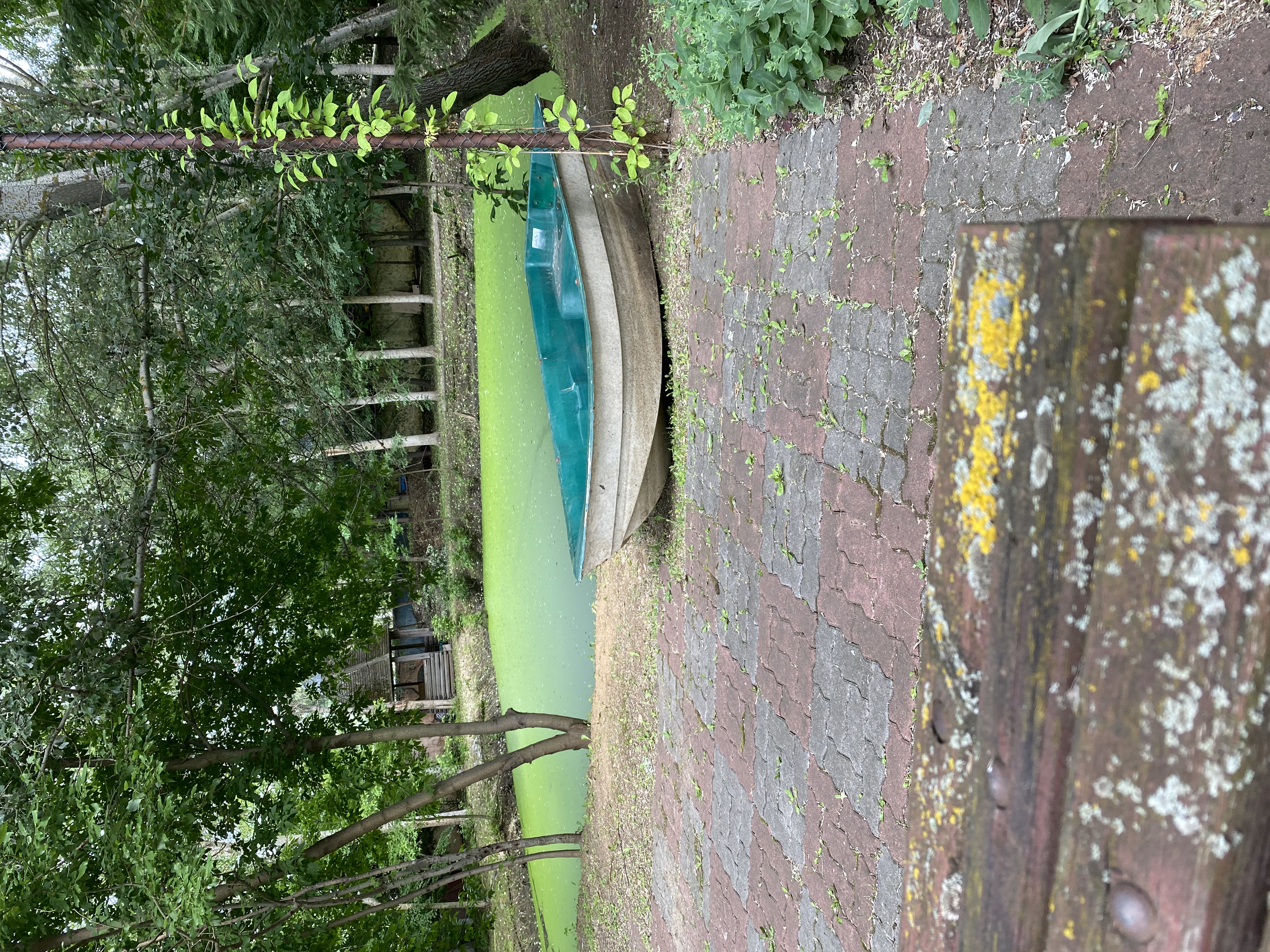 Фото Креатово