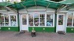 Flower shop (Minsk, Settlement of Awtazavoda Historical Sector), floristeria