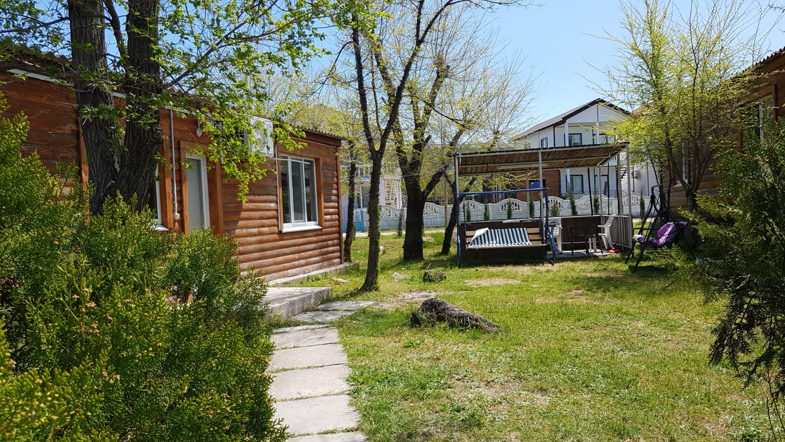 Фото Дельфин