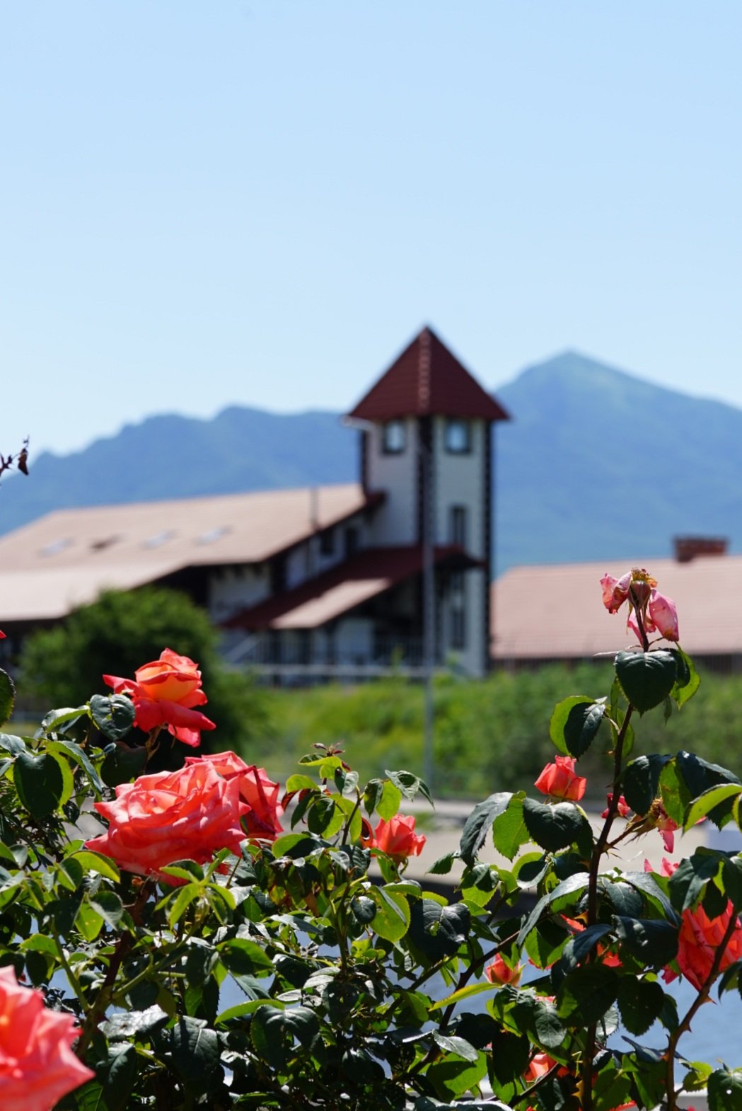 Фото Хоббит Тон