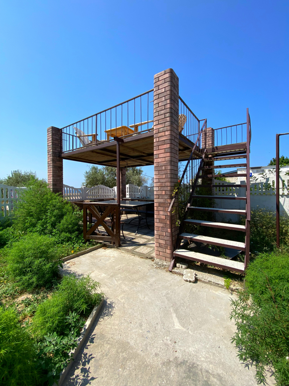 Фото Дружба