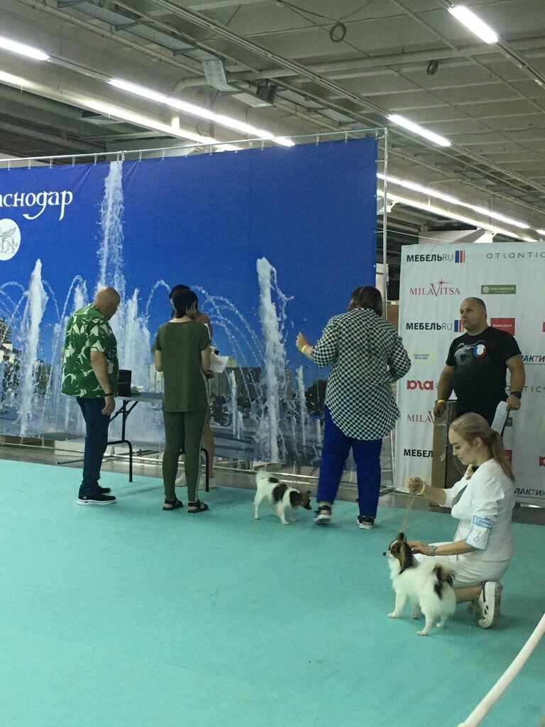 Зооцентр, клуб любителей животных Top Dog, Краснодар, фото