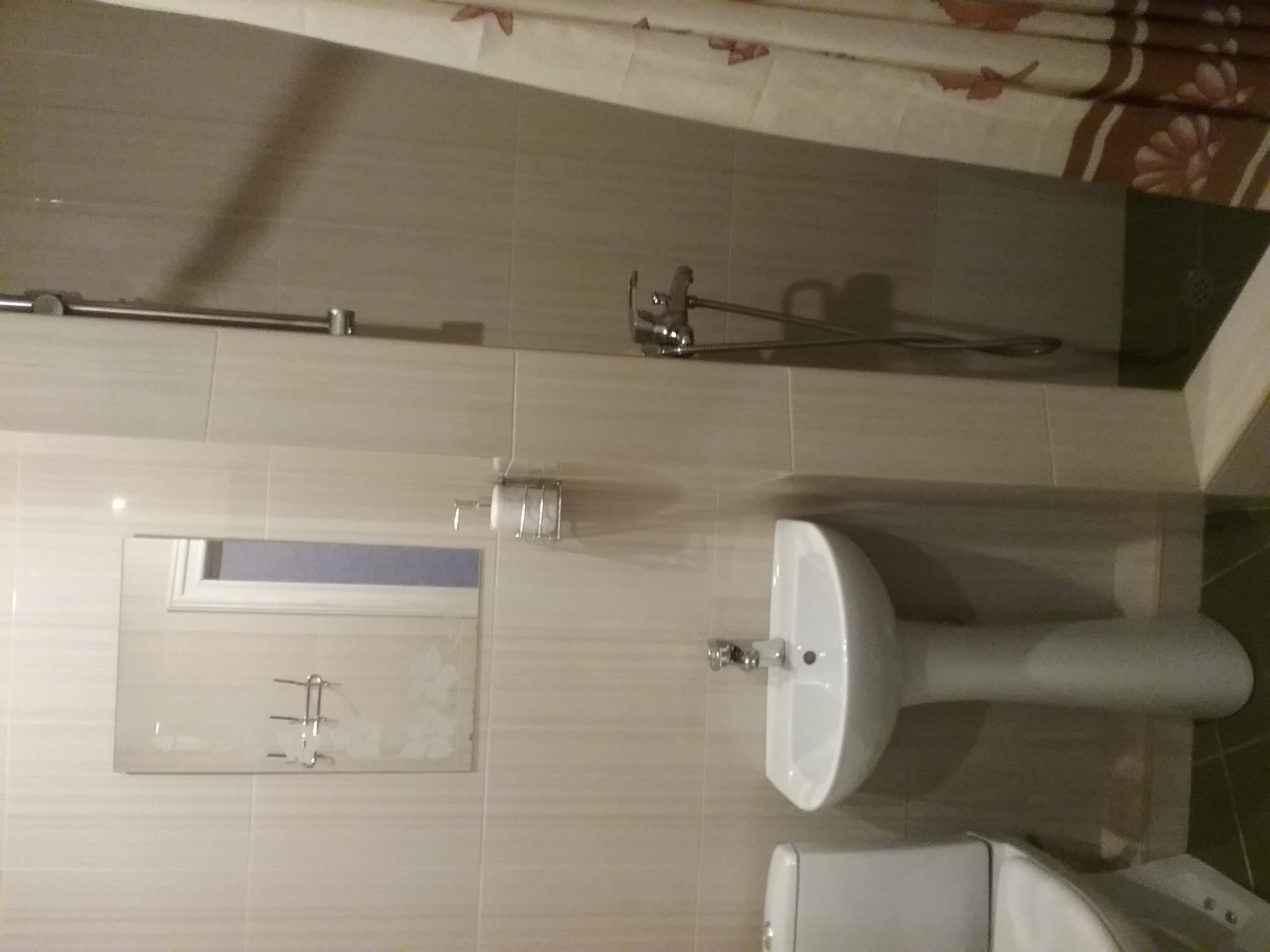 Фото Жар птица