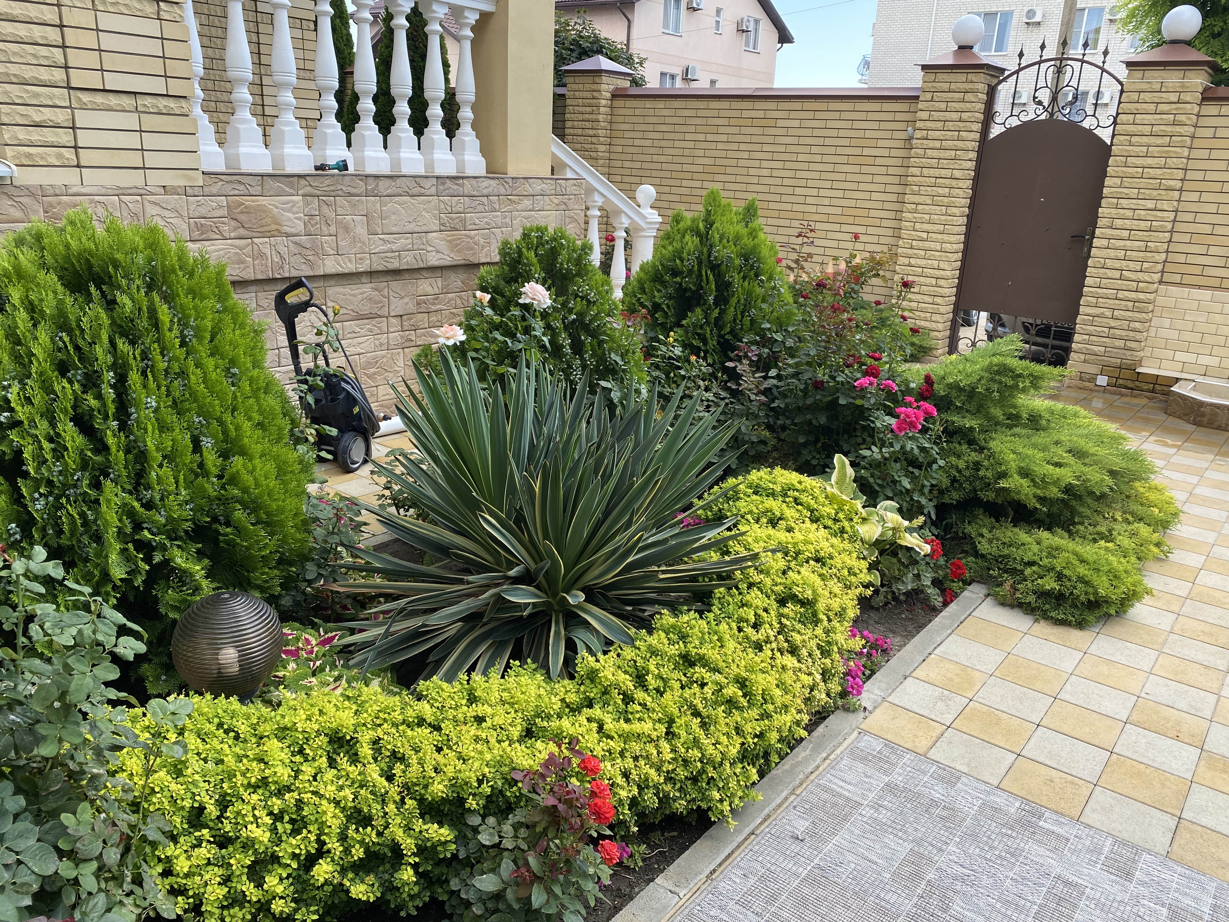 Фото Астория