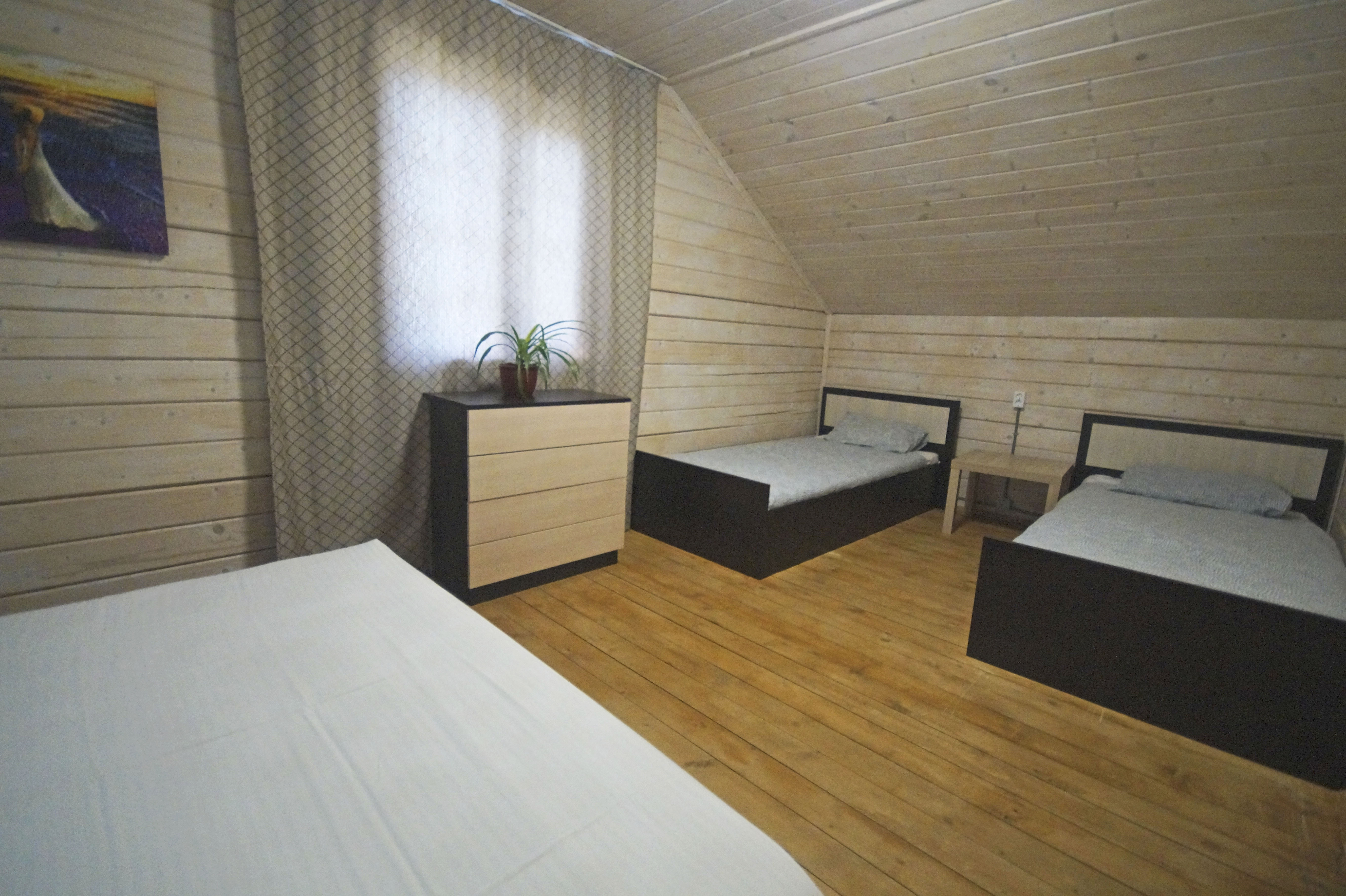 Фото Лесная поляна