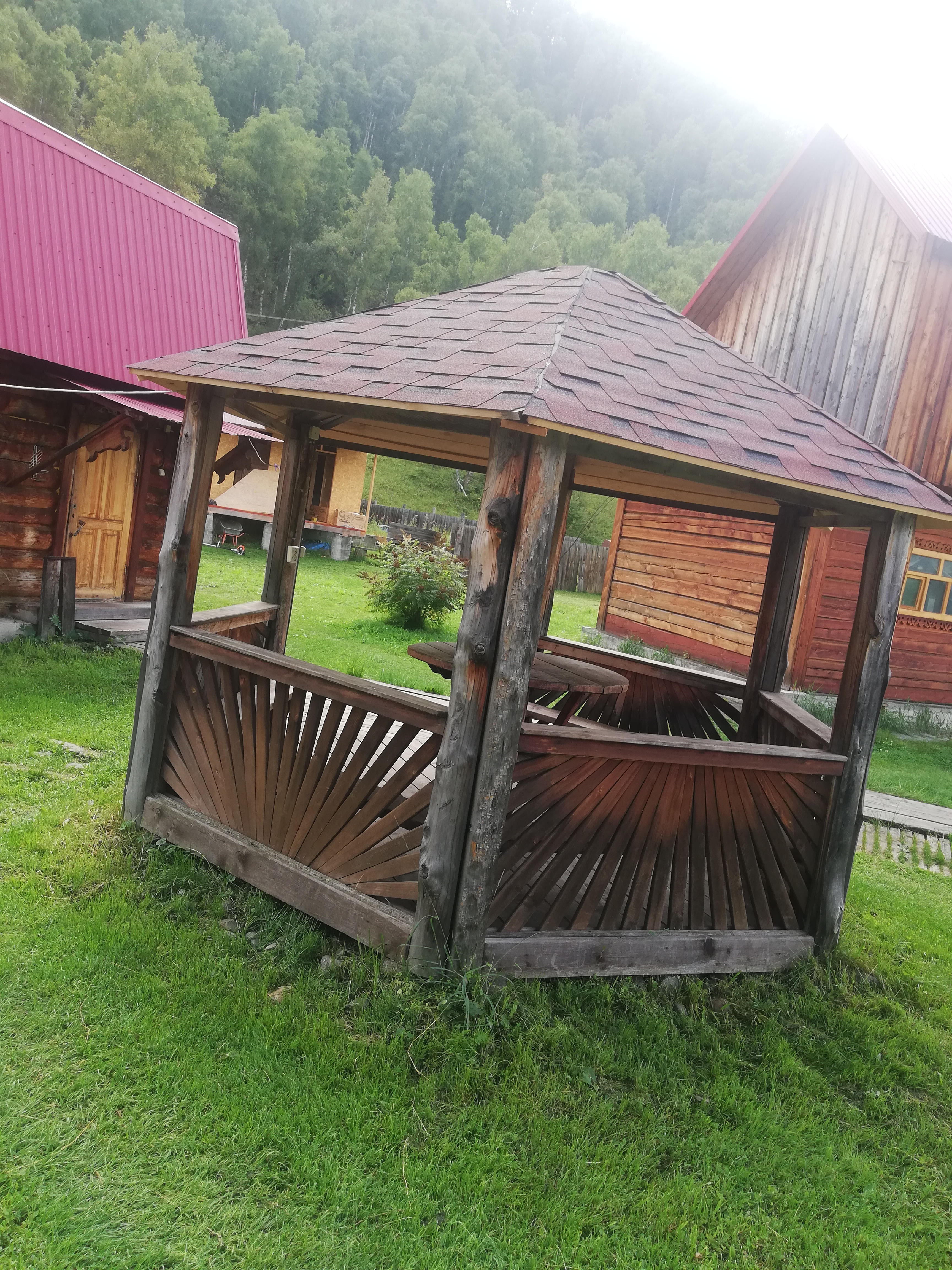 Фото Золотая пчела