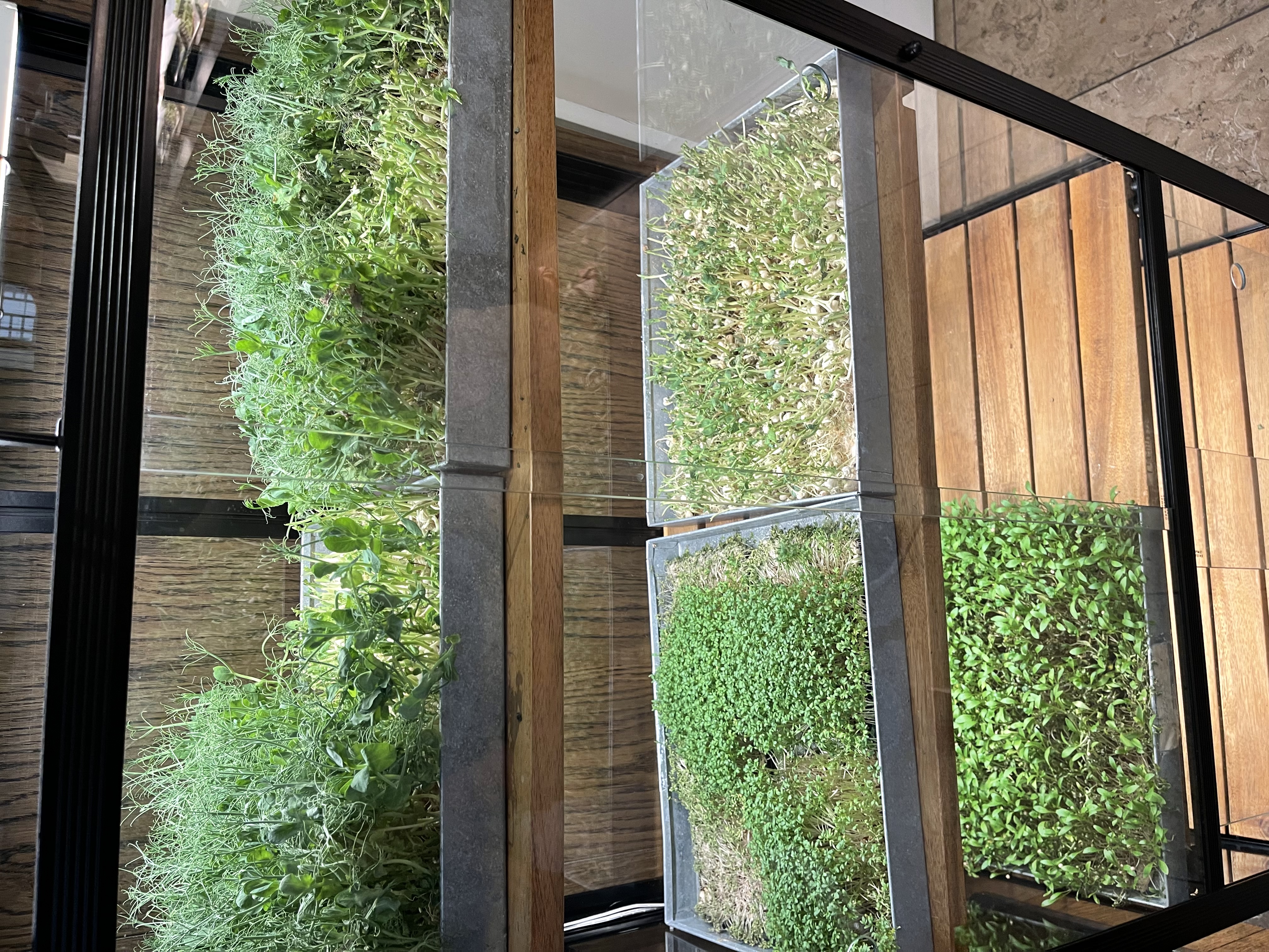 Фото Comwell Copenhagen Portside Dolce by Wyndham