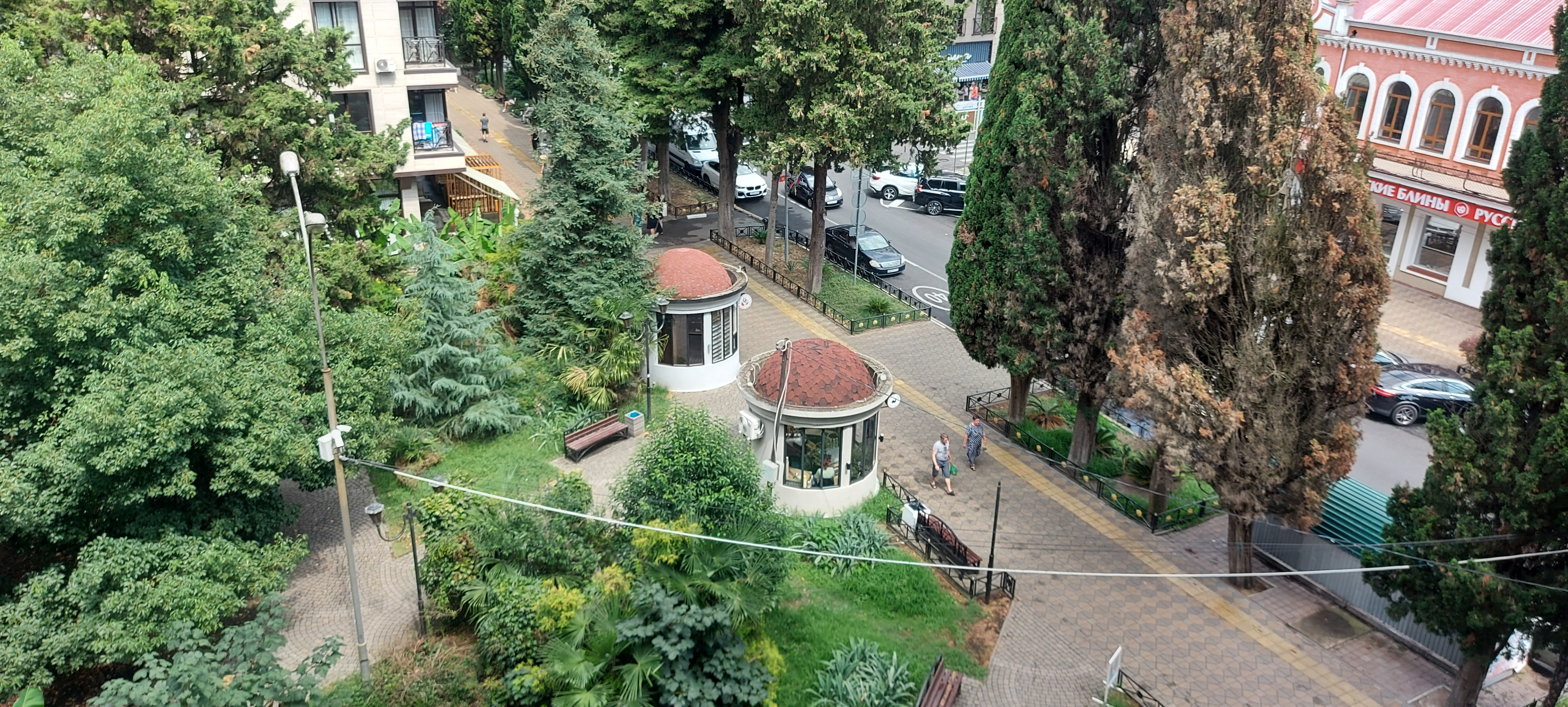 Фото Морская звезда