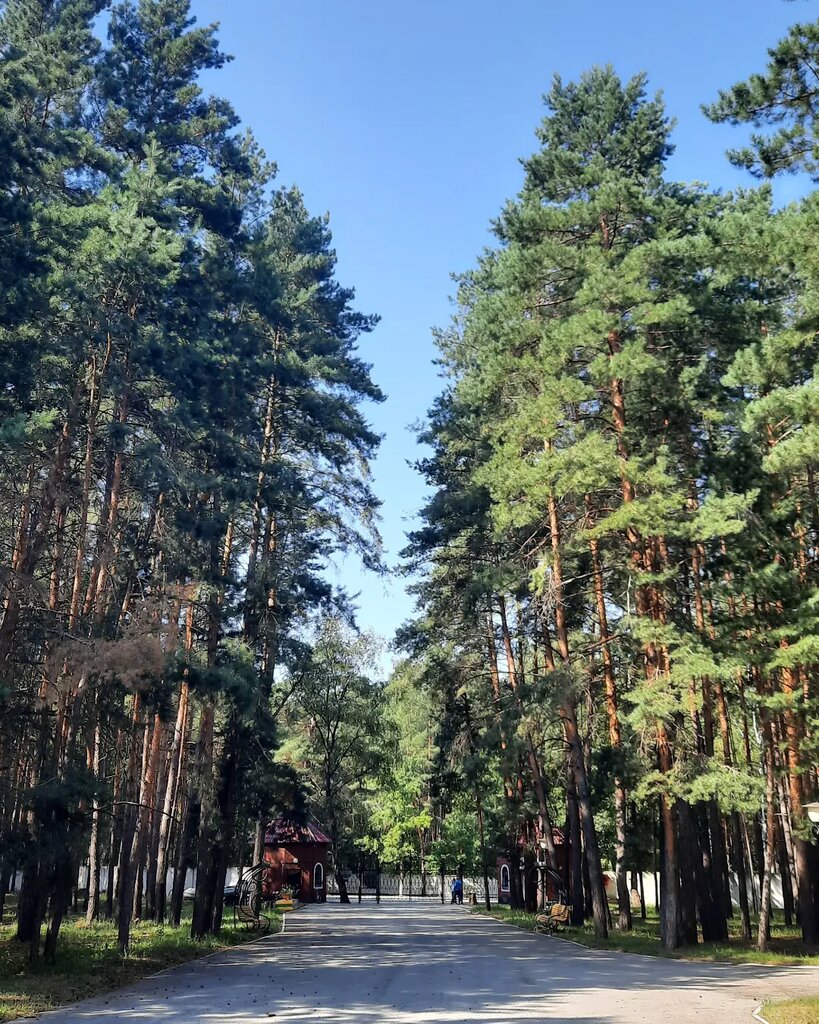 Детский лагерь отдыха Лесная сказка, Липецкая область, фото