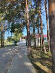 Репьевская районная больница (selo Repyovka, ulitsa Mira, 35), hospital