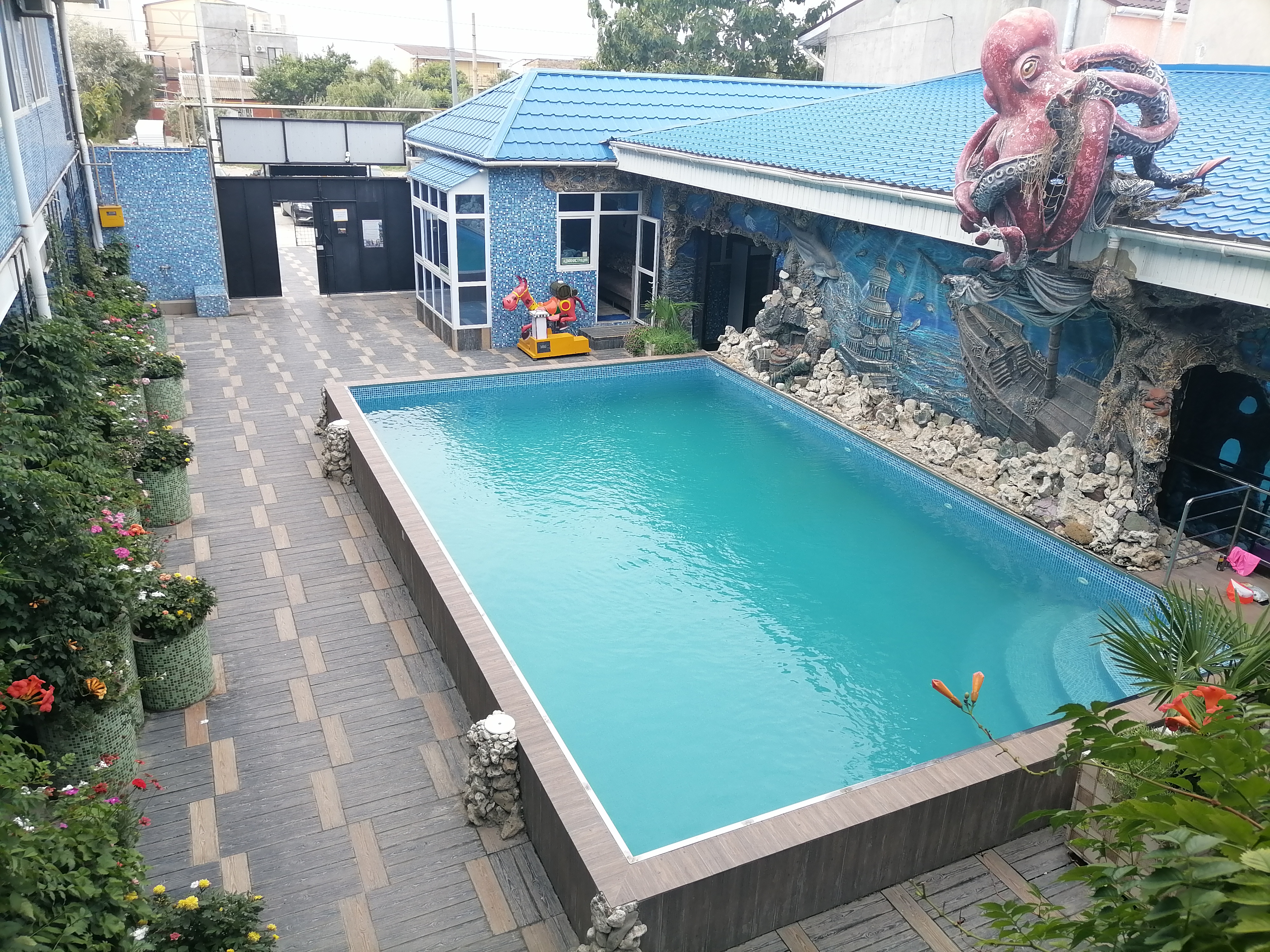 Фото Золотая рыбка