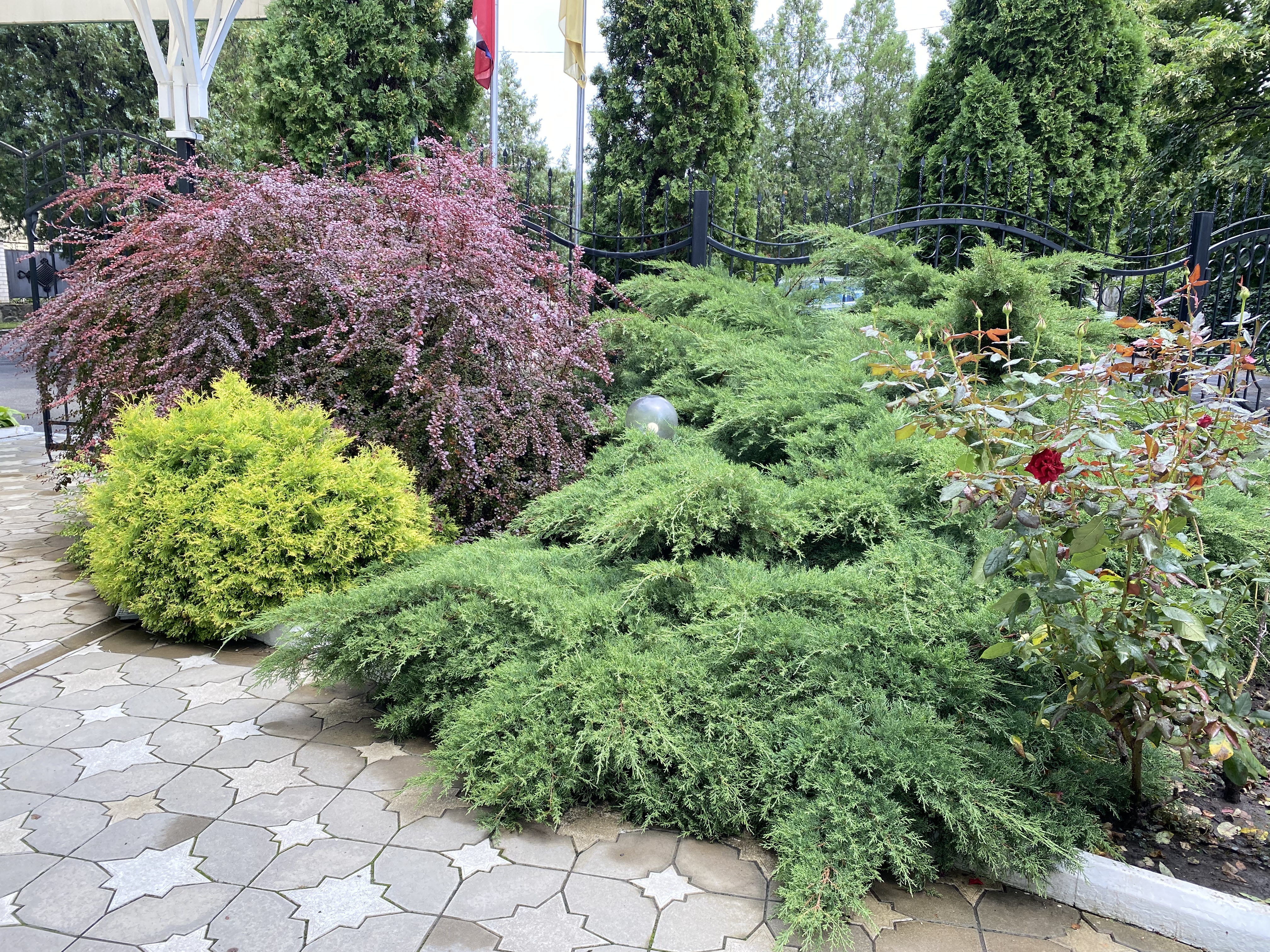 Фото Зелёная