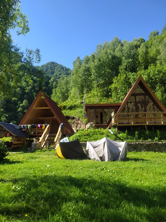 Фото Альпака