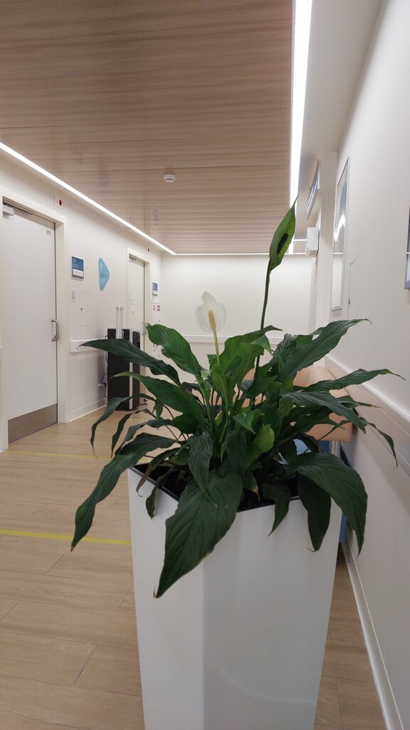 Departamento del hospital Дкц № 1, филиал № 5, терапевтическое отделение № 11, , foto