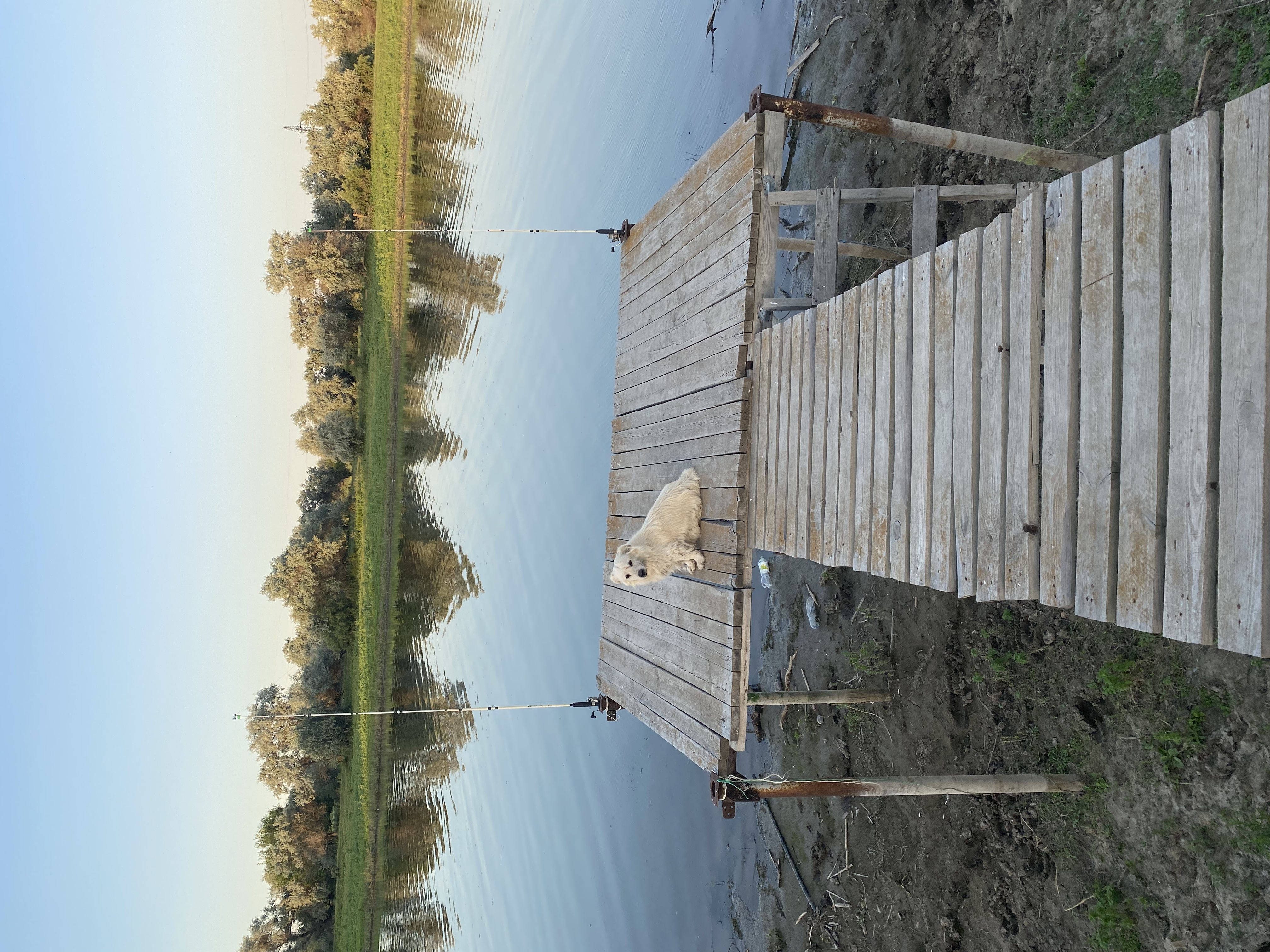 Фото Посейдон Тревелс