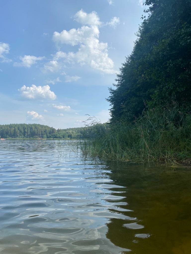 Beach Пляж, Mari El Republic, photo