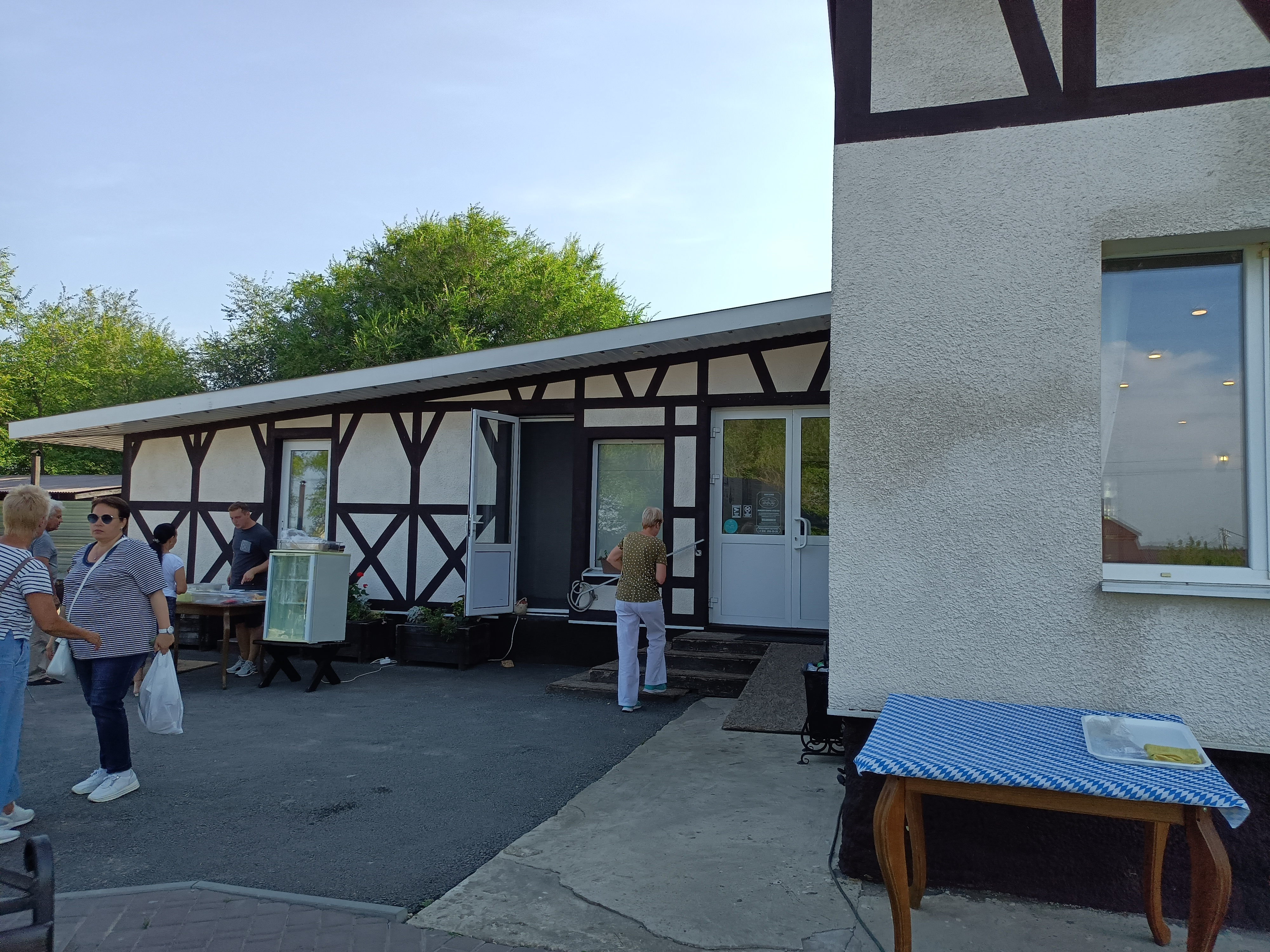 Фото Берёзка