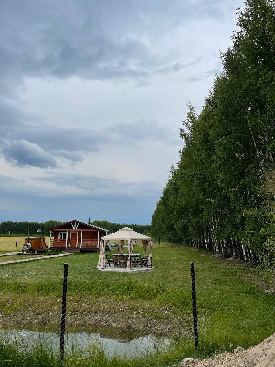 Фото The Поле