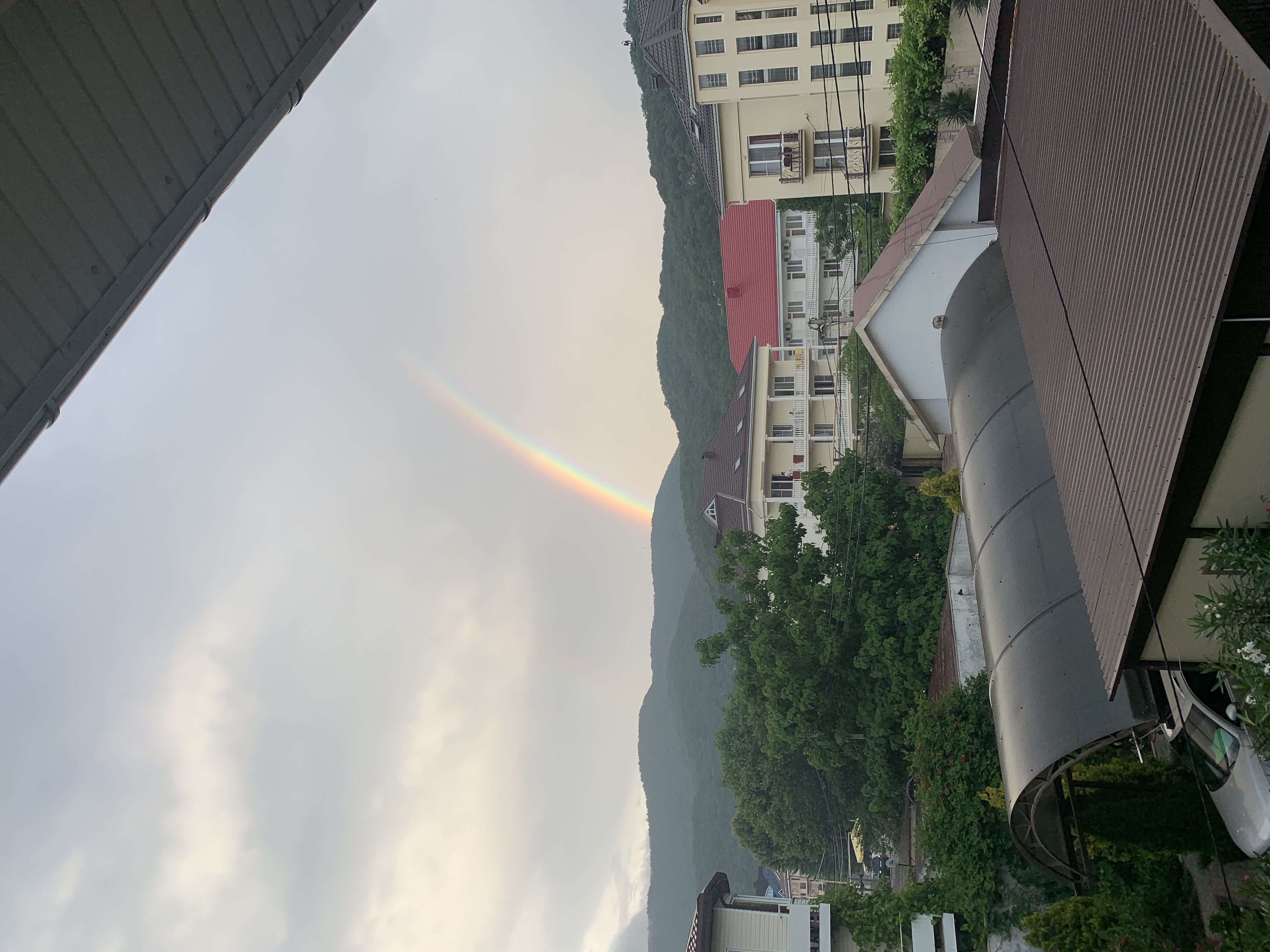 Фото Афалина+