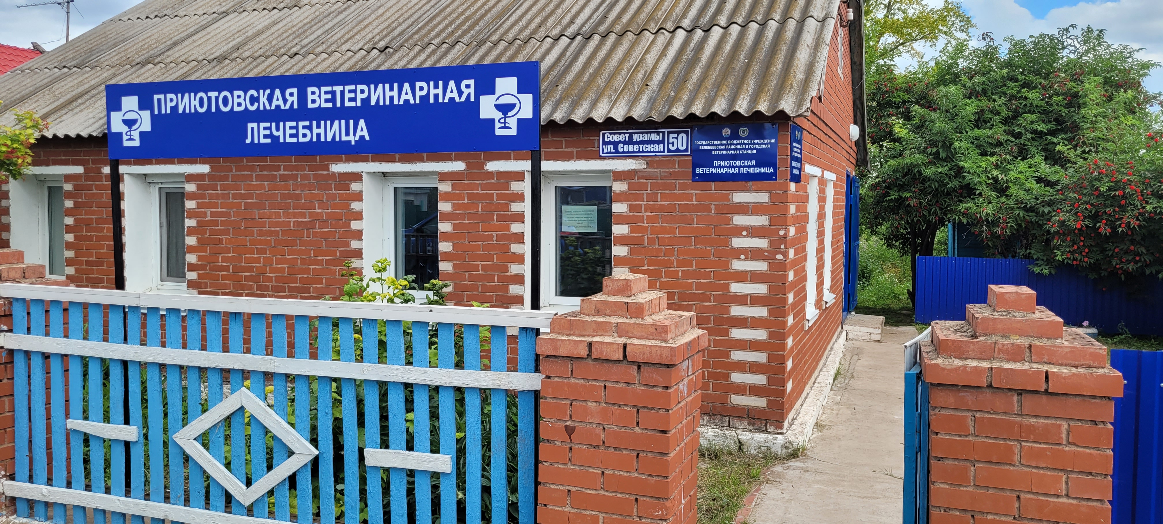 Кировская ветеринарная лечебница ул победы 42 фото