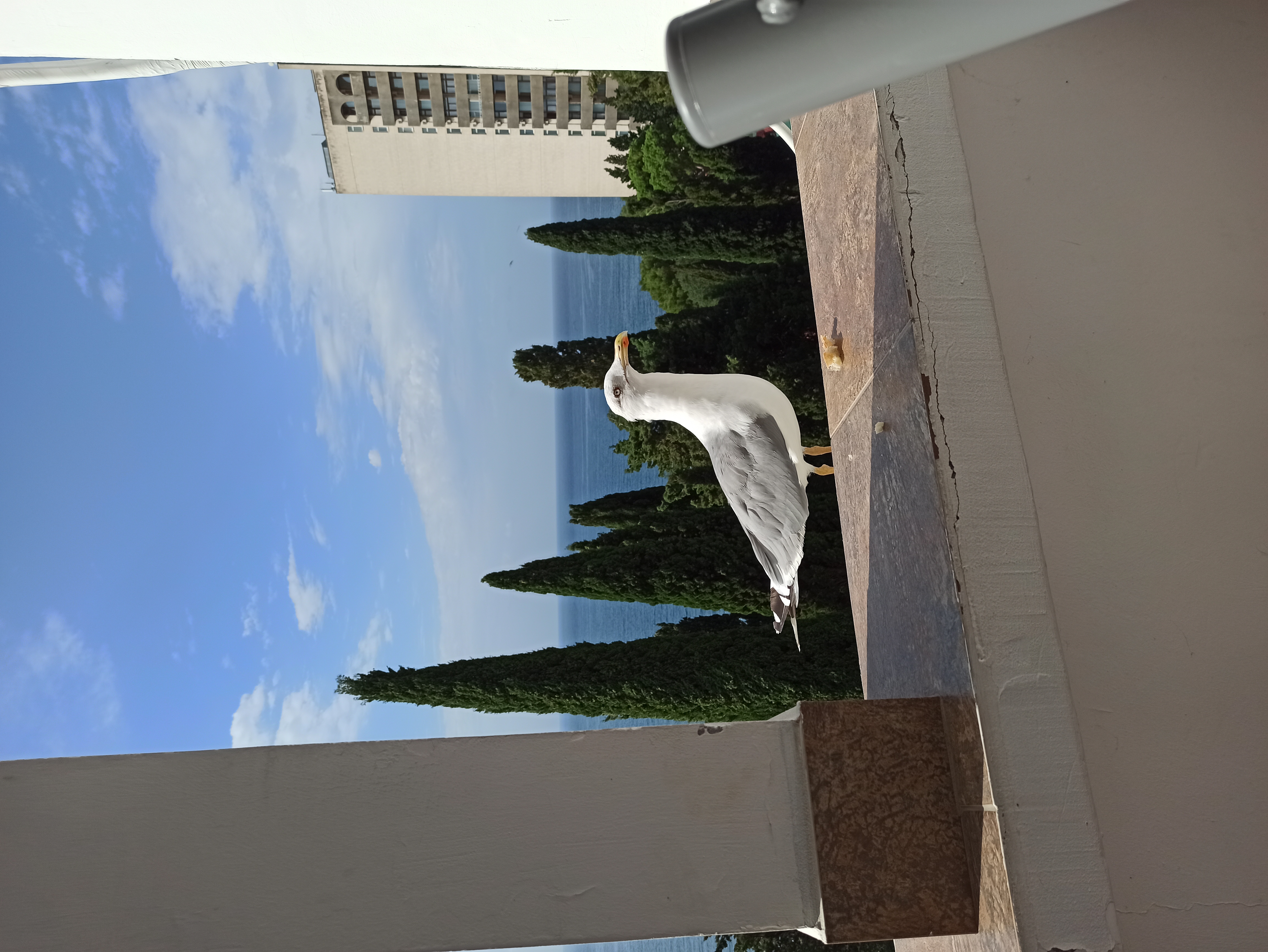 Фото Эллада