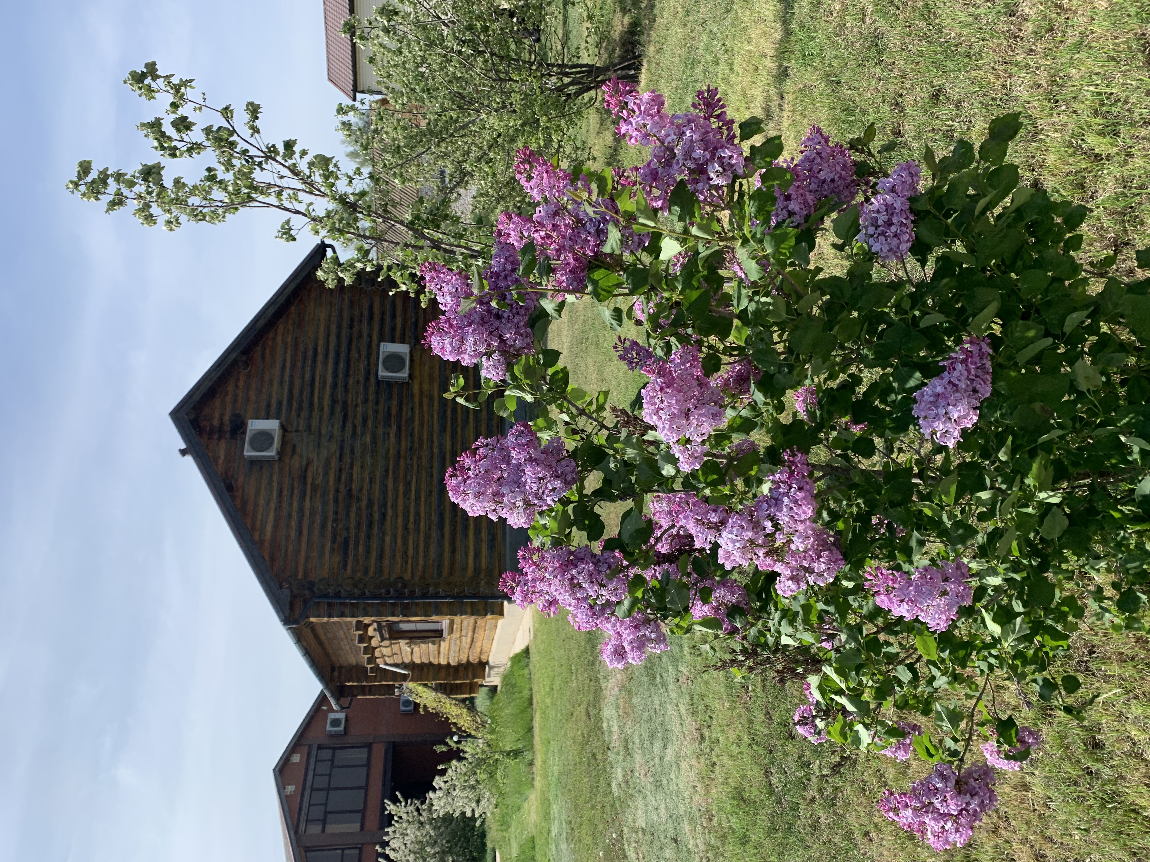 Фото Ладейная