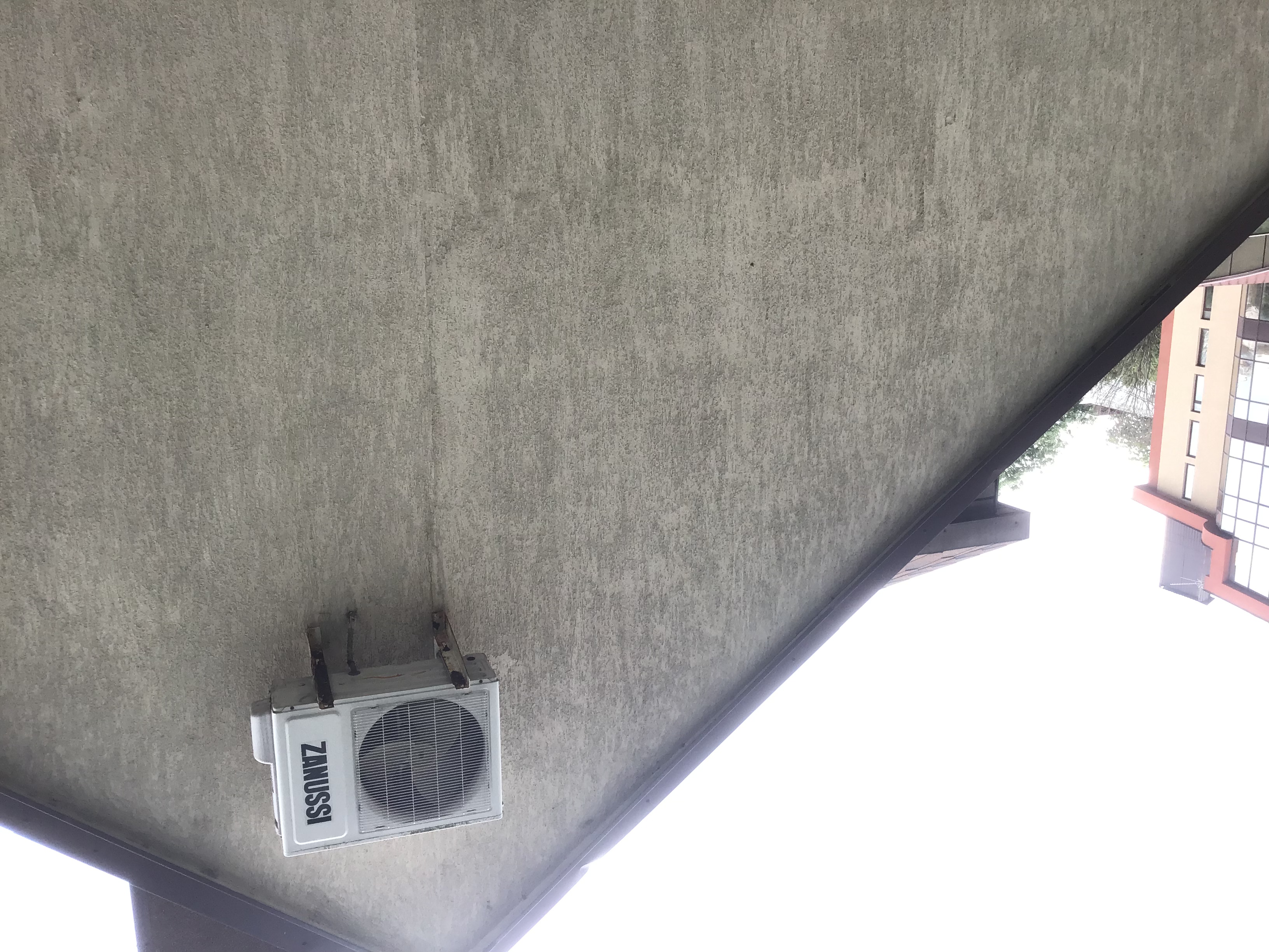 Фото Талисман