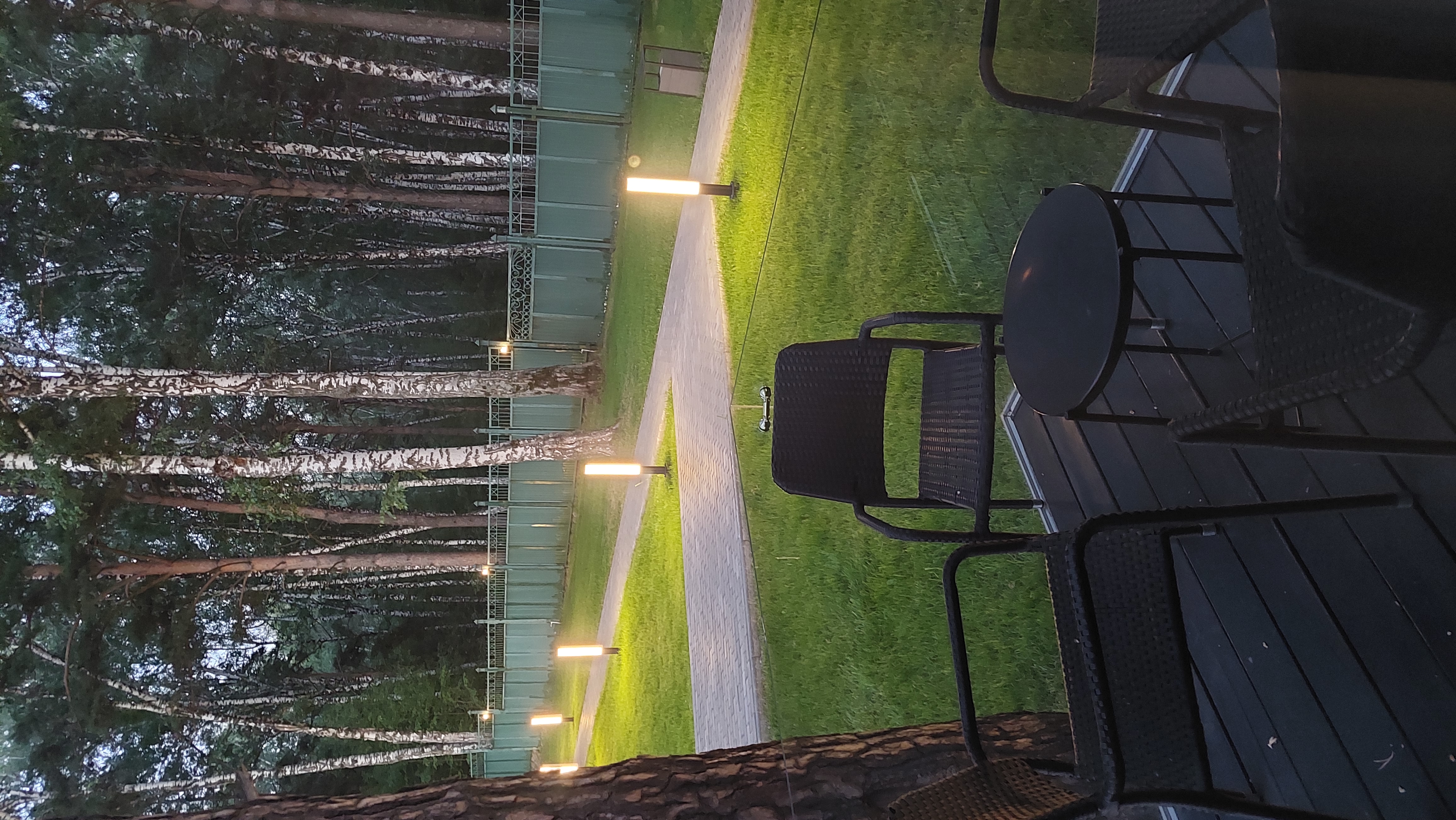 Фото Сосновый бор