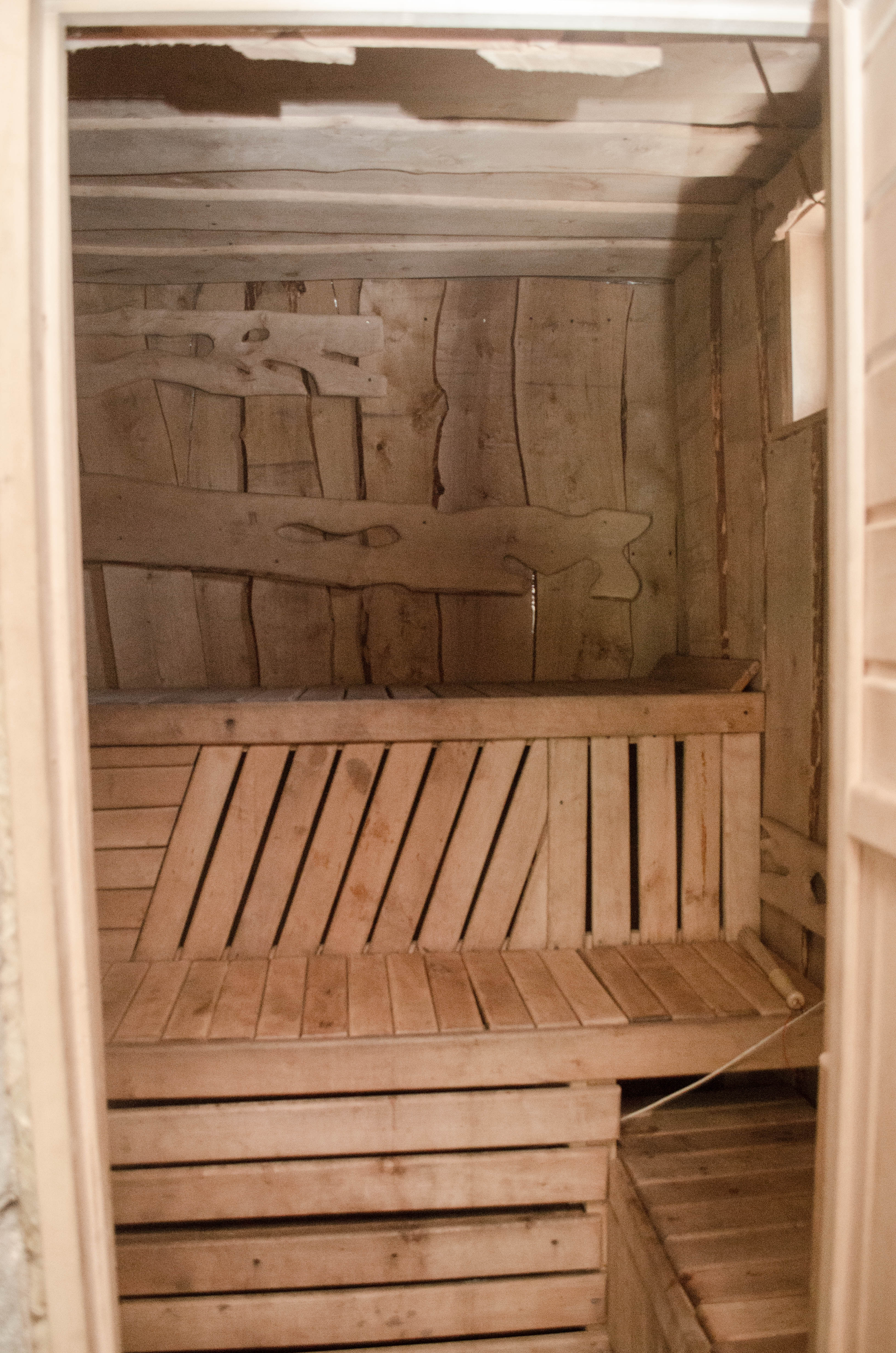 Фото Альпака