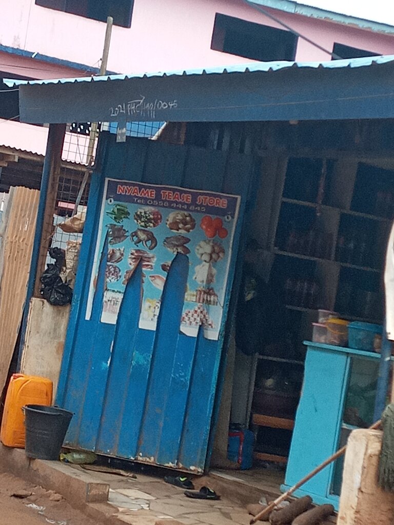 Fish and seafood Nyame tease coldstore, Accra, photo