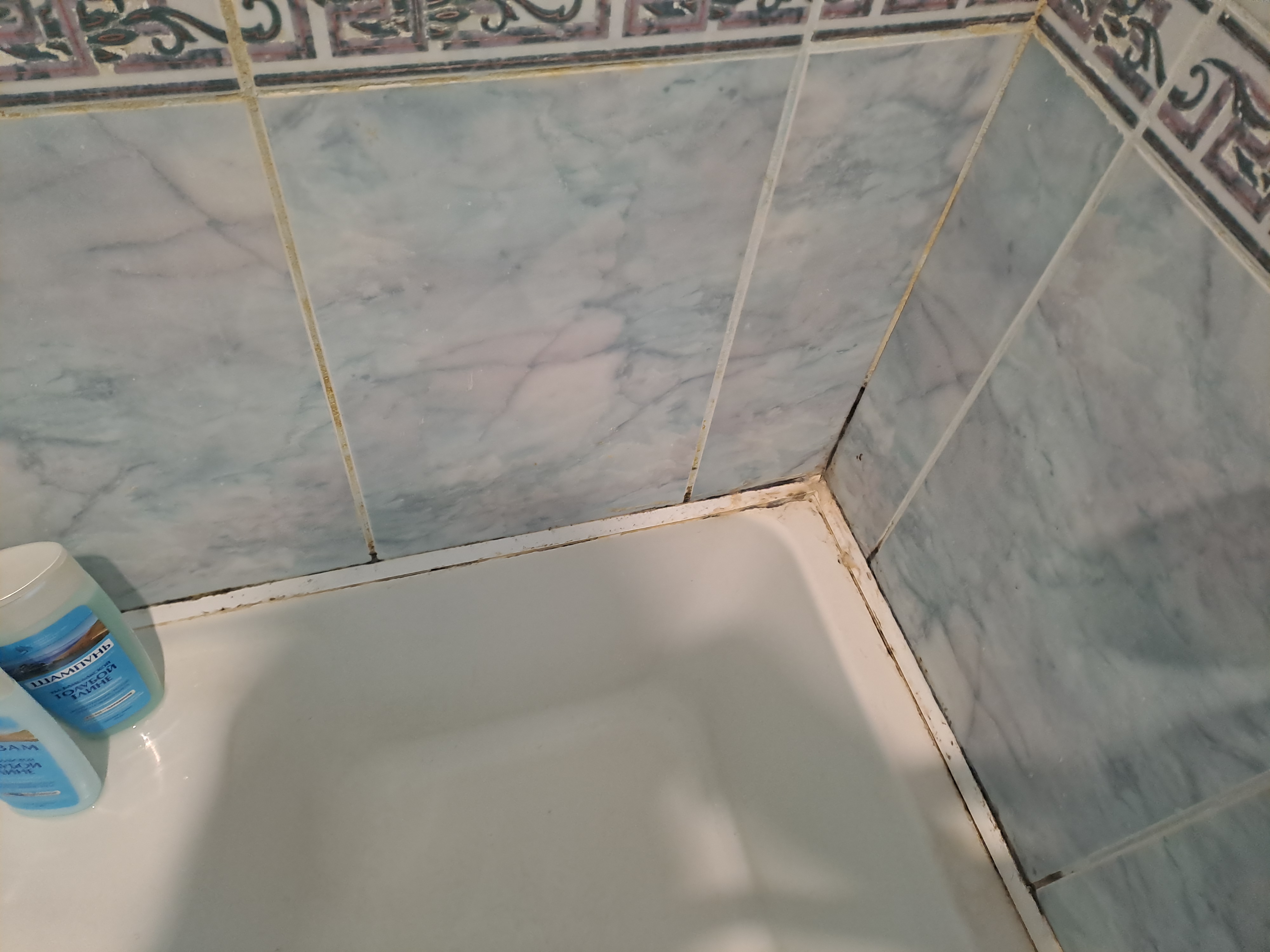 Фото Царское село