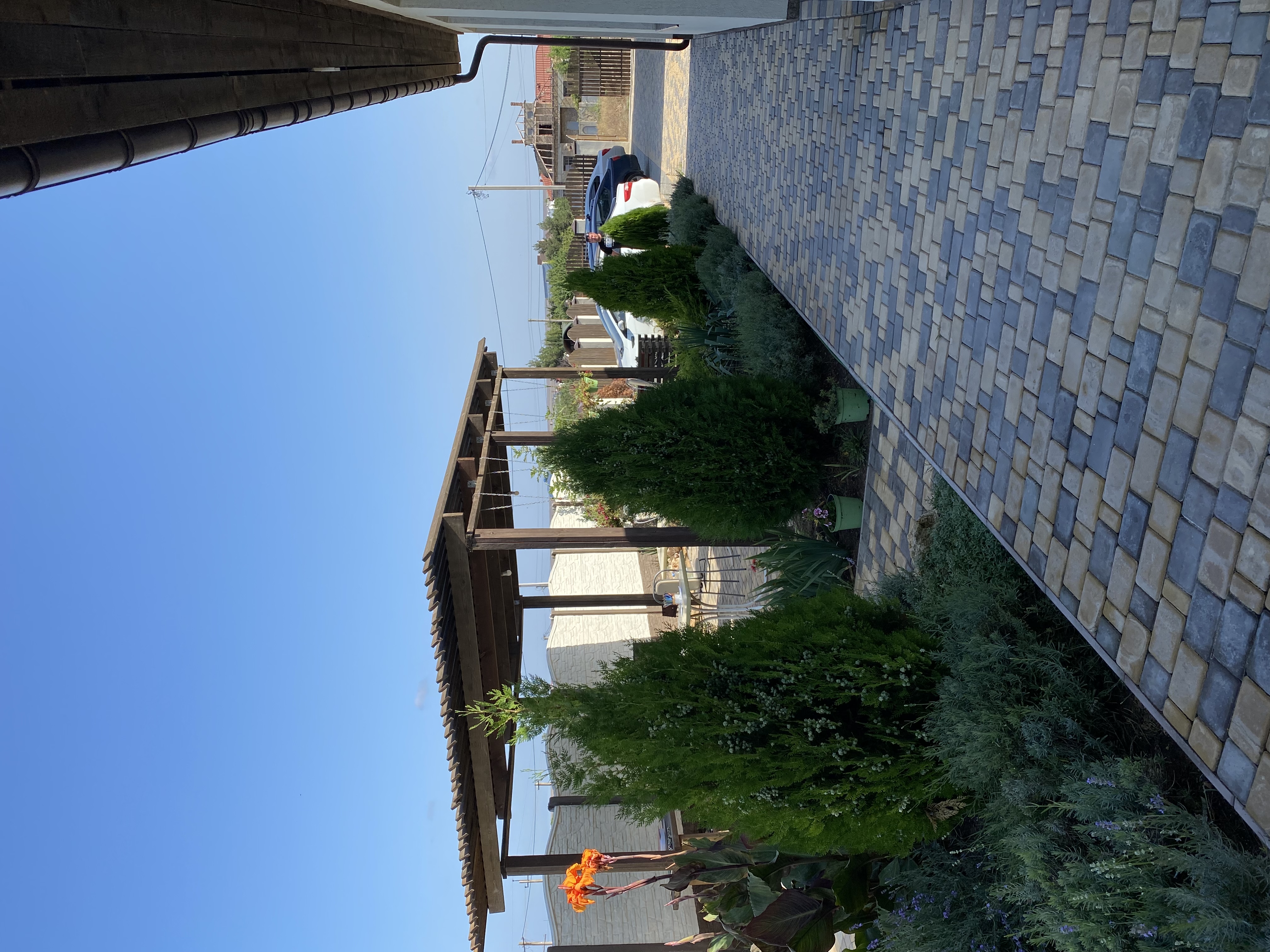 Фото Солнечный