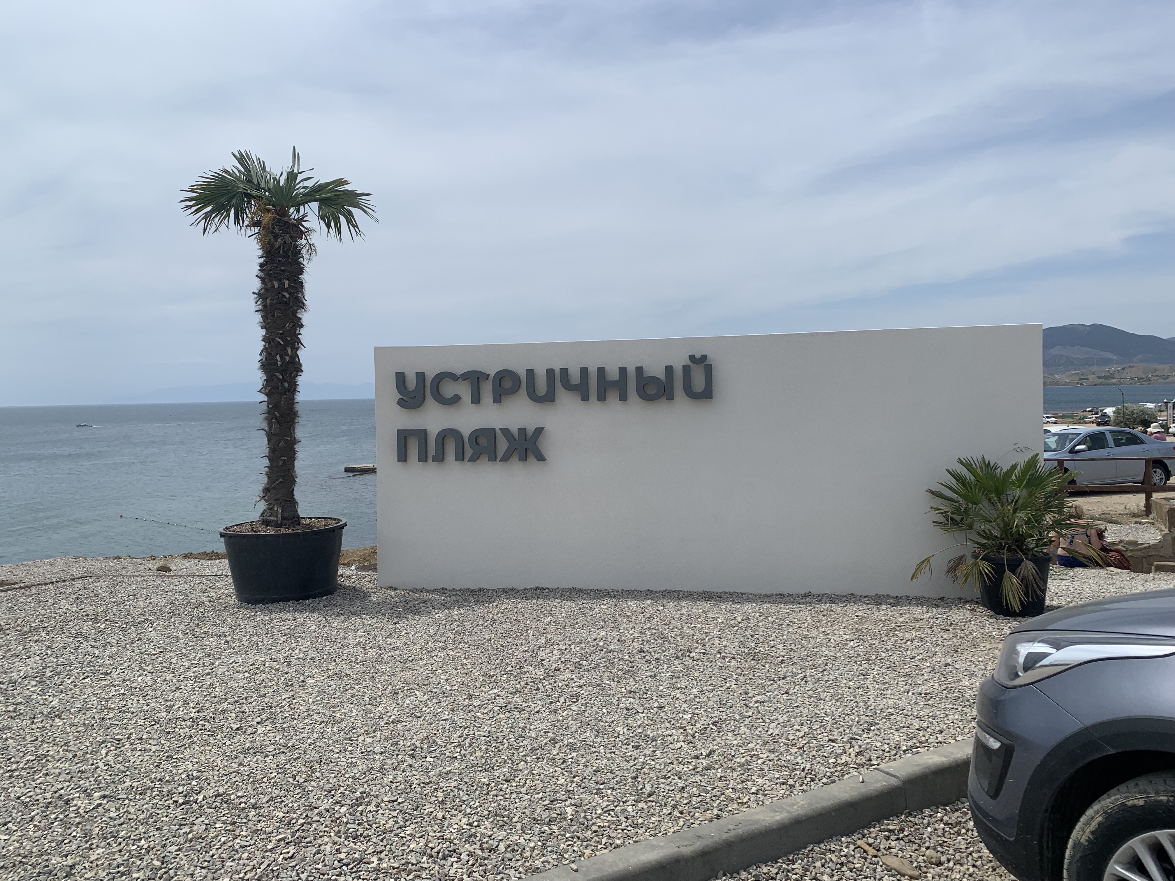 Фото Меганом