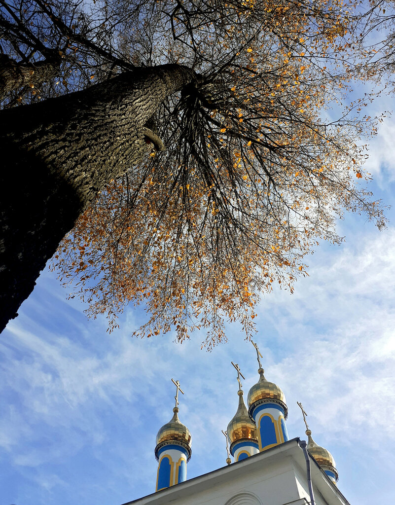 Православный храм Церковь Покрова Пресвятой Богородицы, Покров, фото