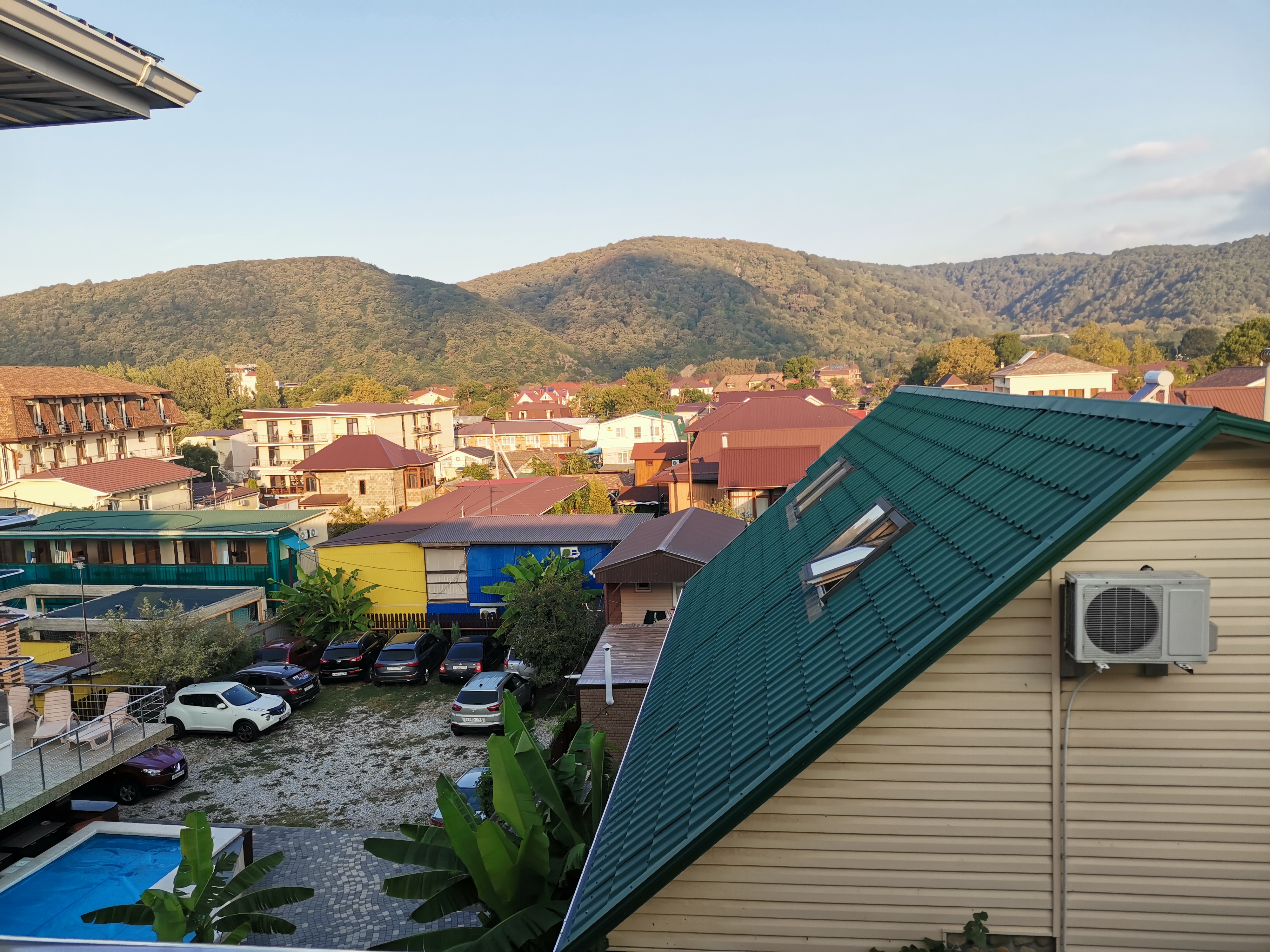 Фото Березы