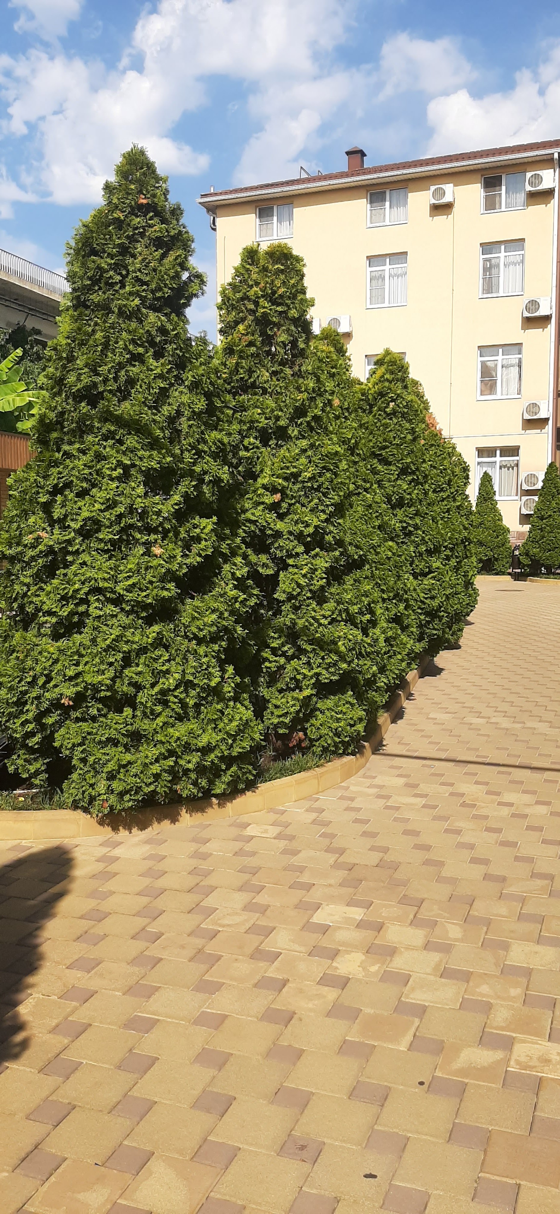 Фото Грин Хоста