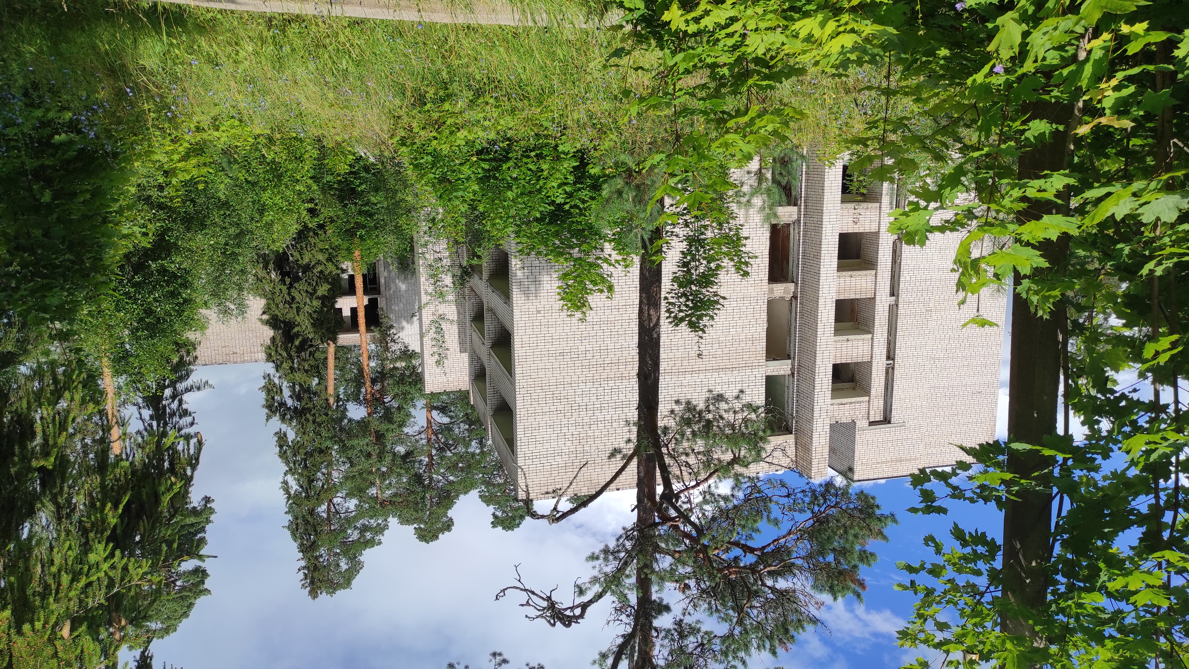 Фото Лесная дача