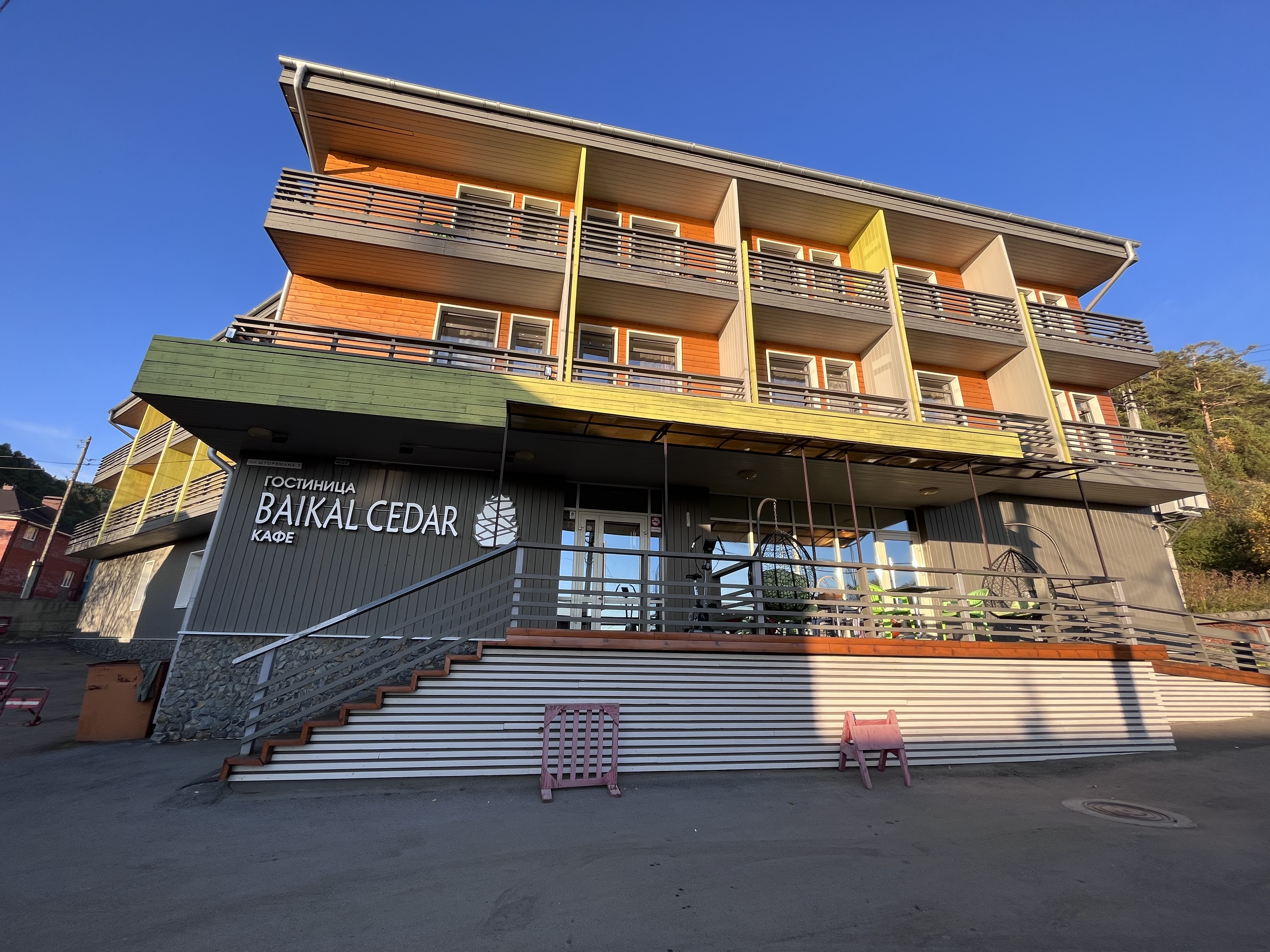 Фото Байкал Кедр