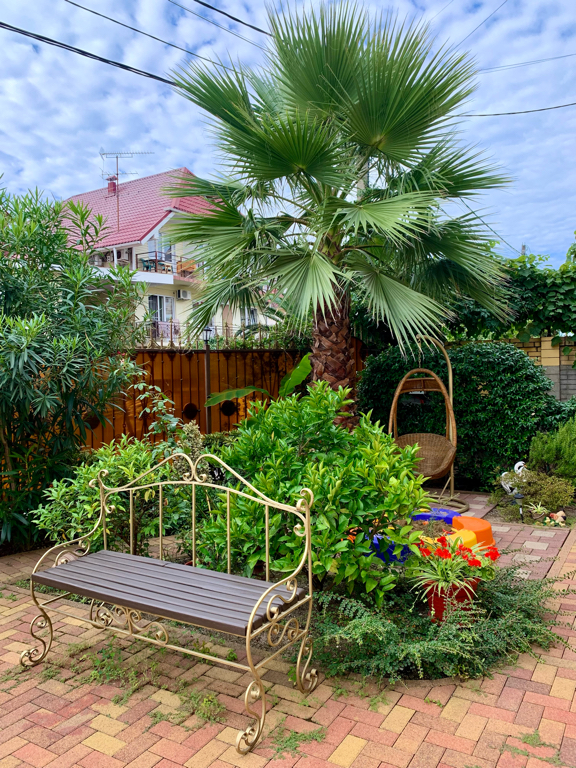 Фото Каллисто