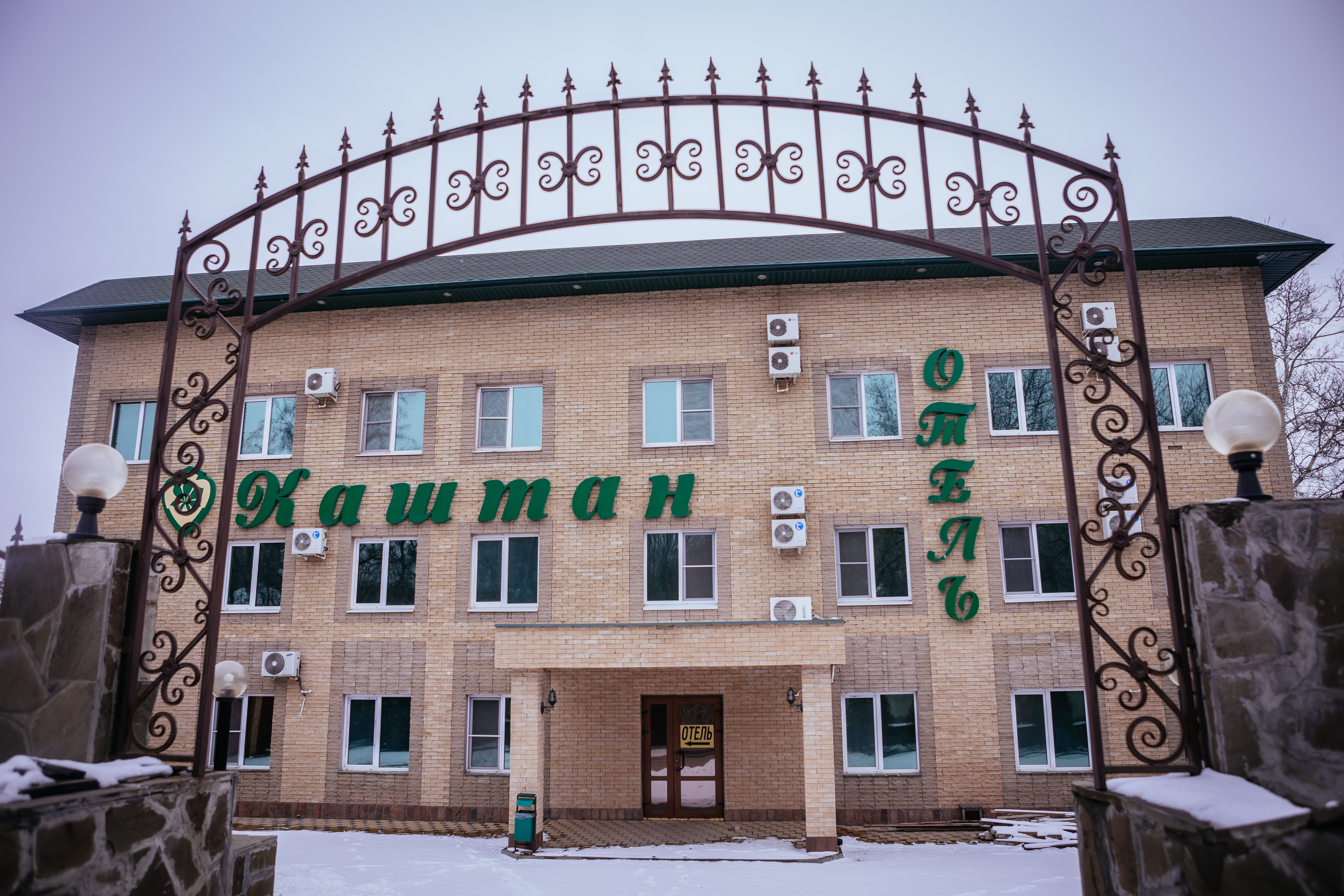 Фото Каштан