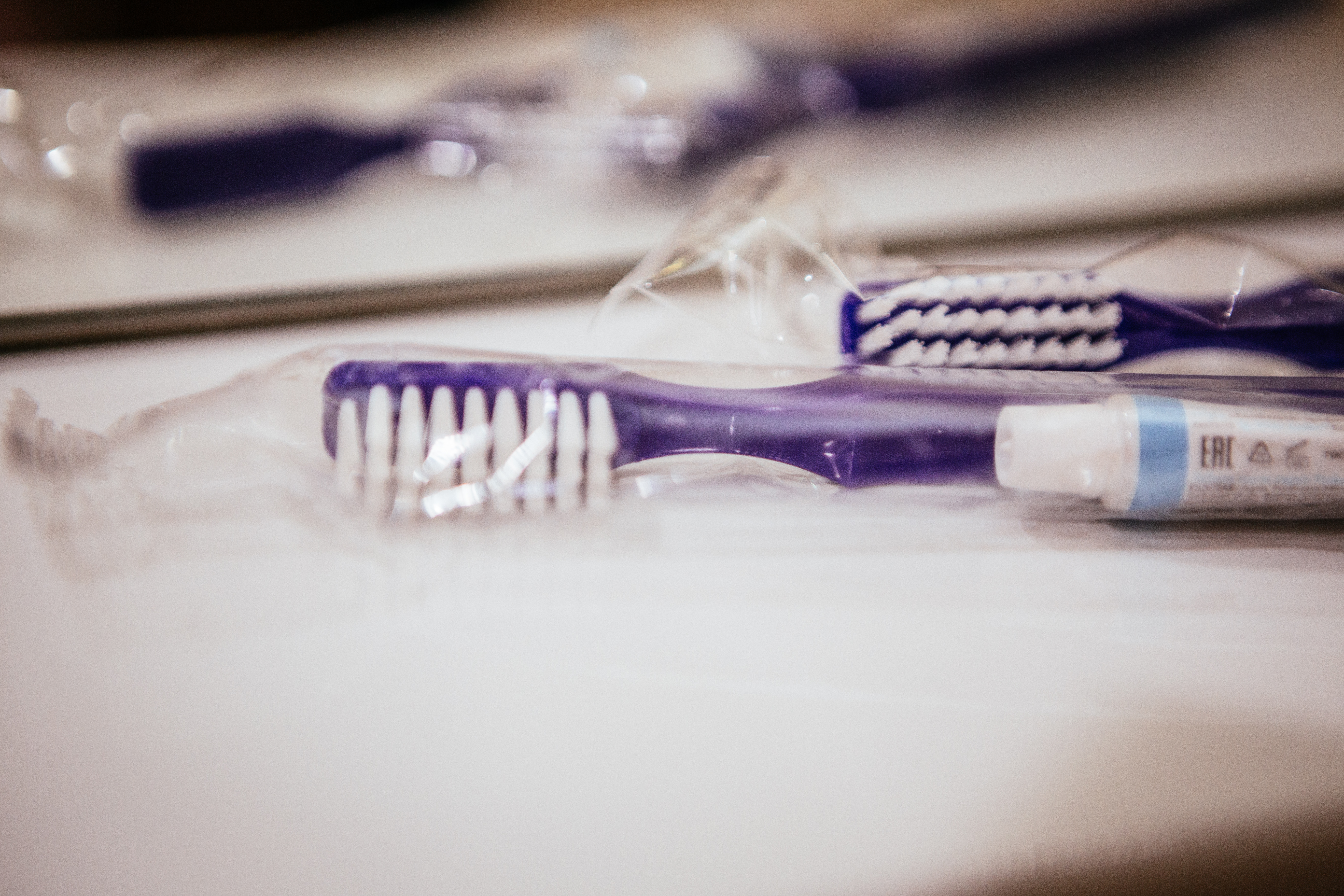 Фото Каштан