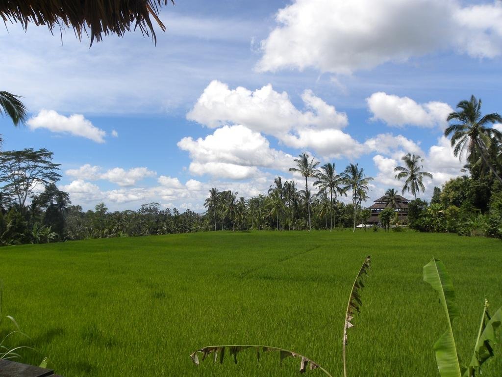 Фото Saudara Home