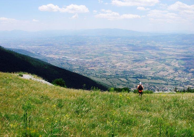 Фото Orbipan B&b