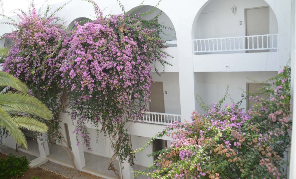 Фото отеля 5