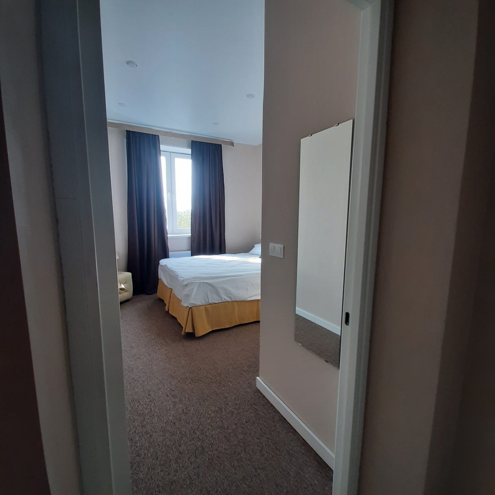 Фото Сова в Шереметьево