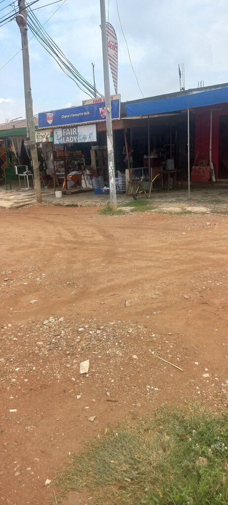 Grocery Fair Lady, Earth, photo