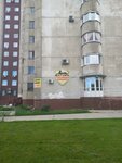 Багира (Antona Petrova Street, 235А/98), compañía de seguridad