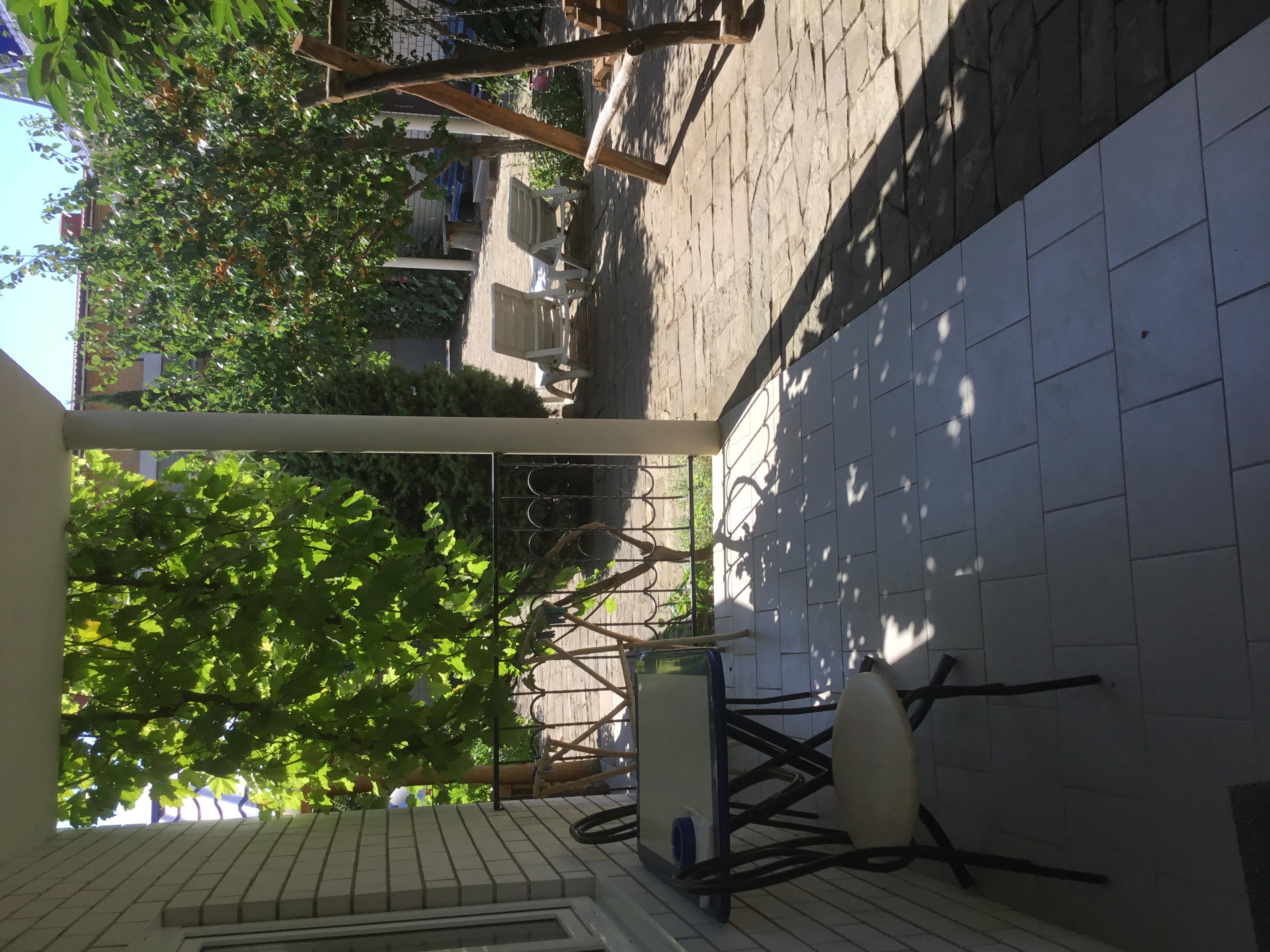 Фото Михалыч