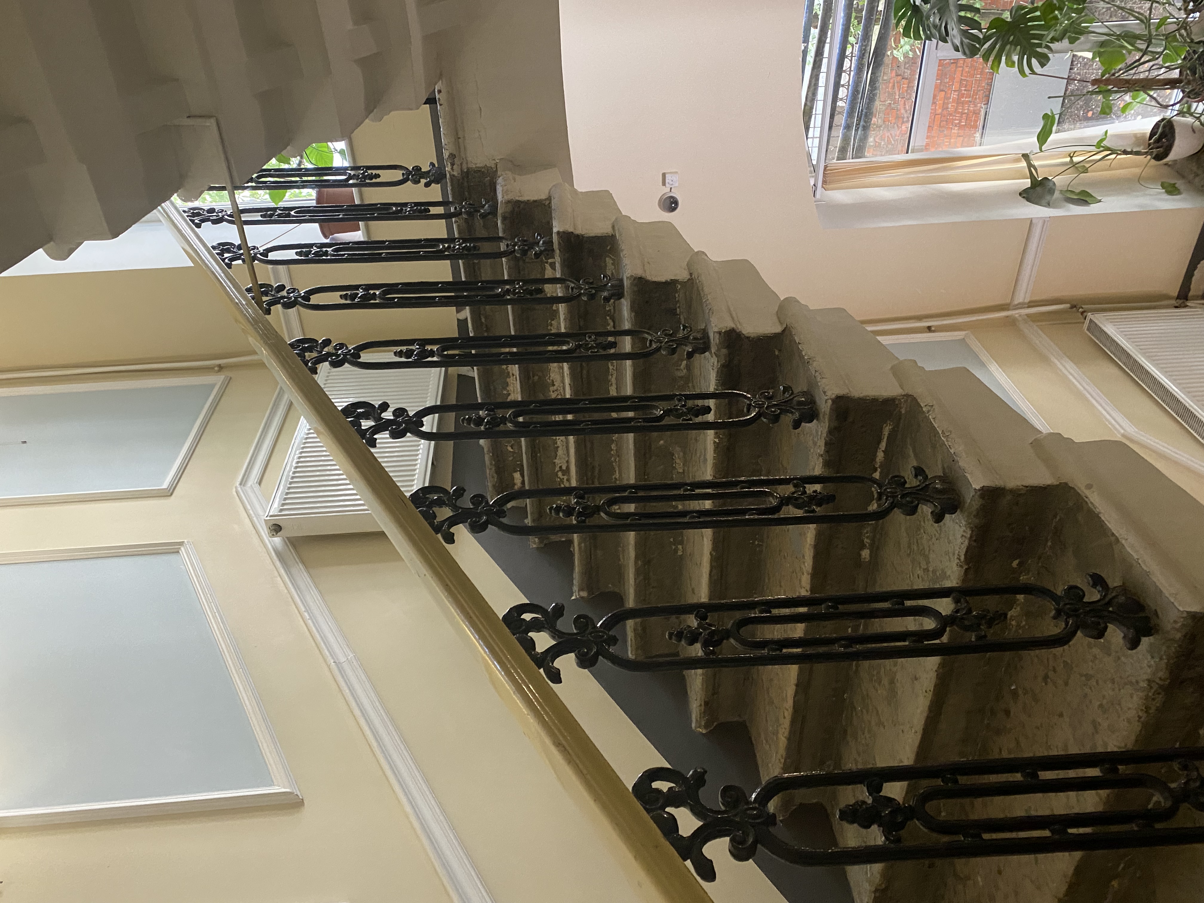 Фото Невский Астер